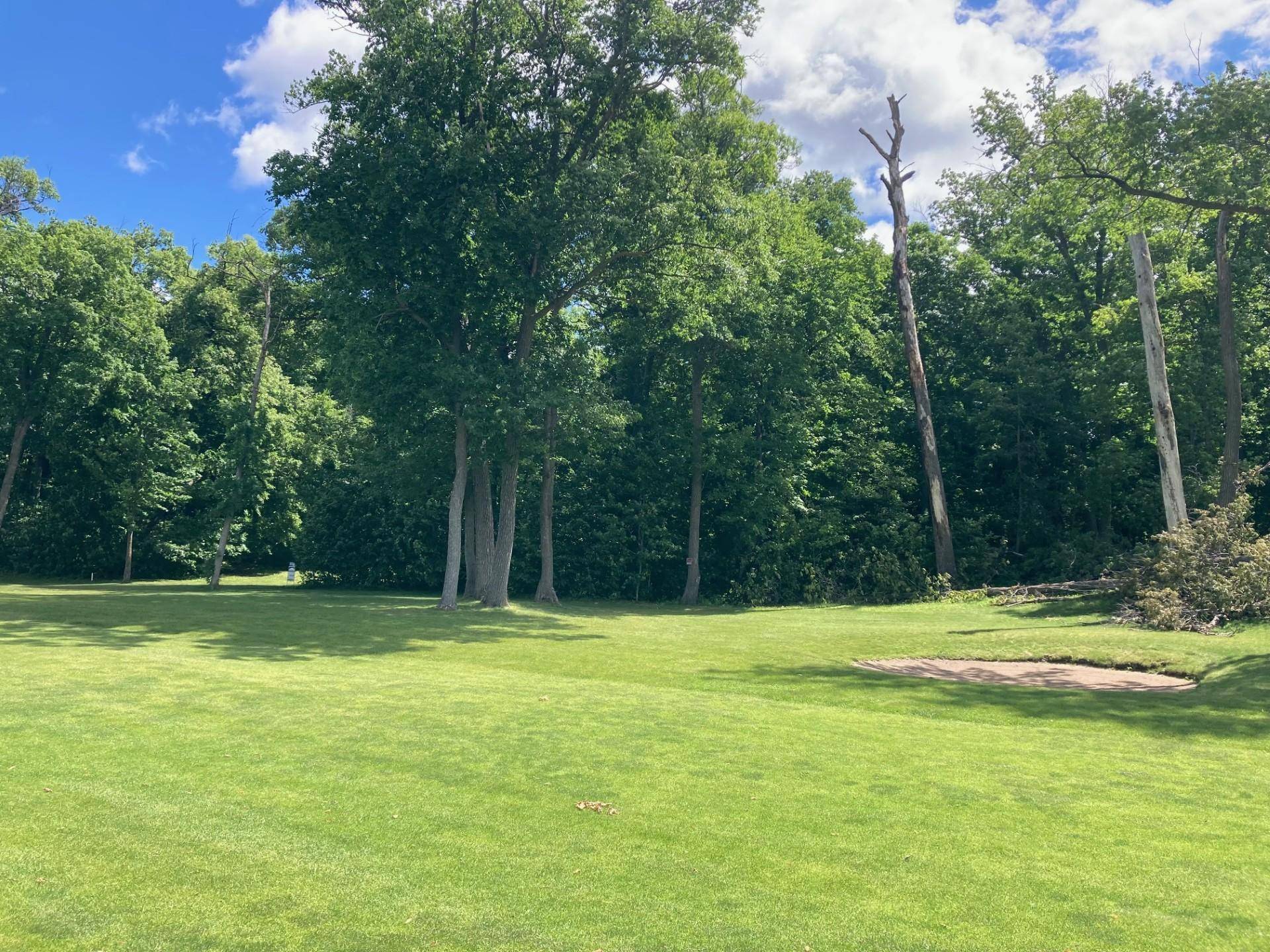 TBD Parview LN NE, Alexandria, MN 56308