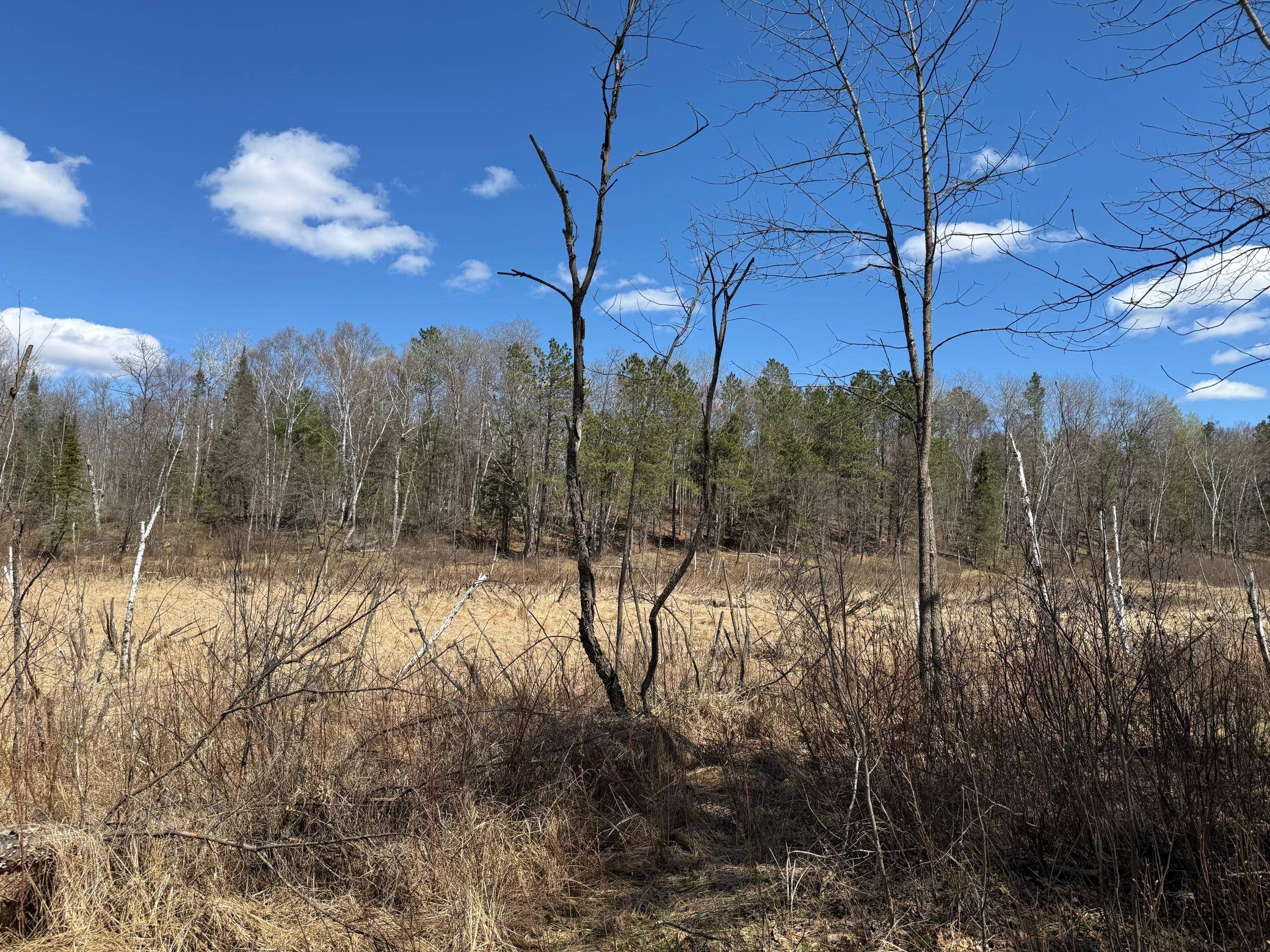 41174 Yellow Birch LN, Emily, MN 56447