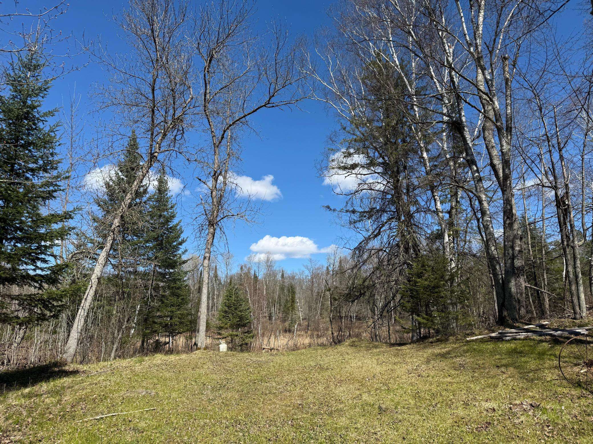 41174 Yellow Birch LN, Emily, MN 56447