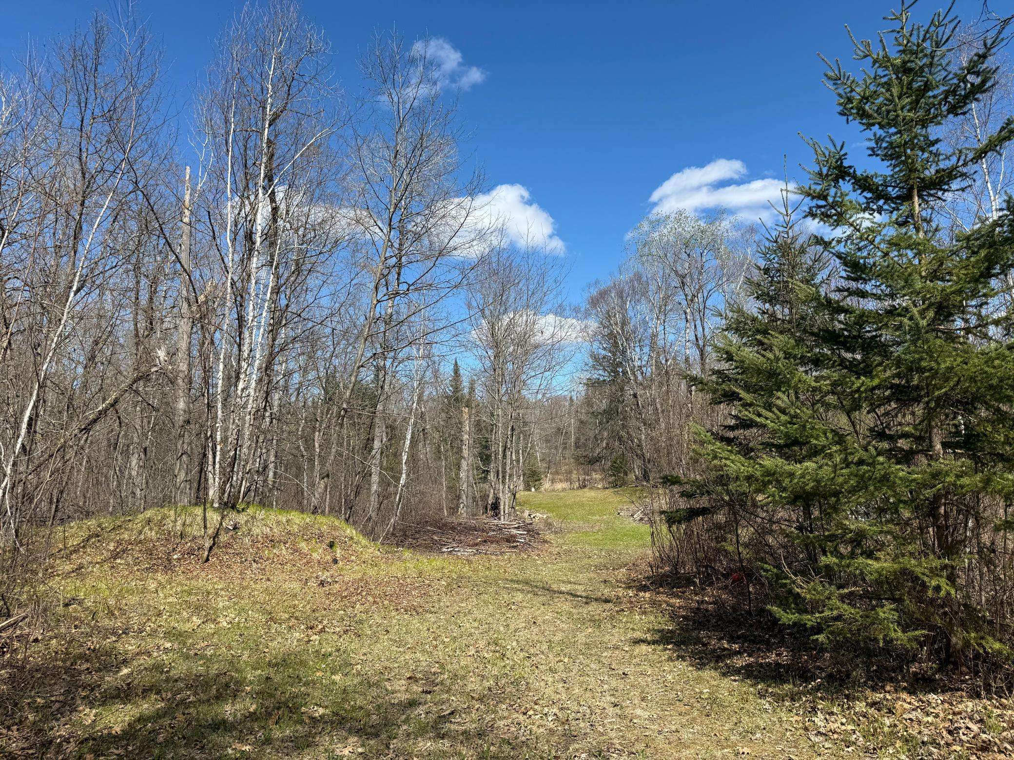 41174 Yellow Birch LN, Emily, MN 56447