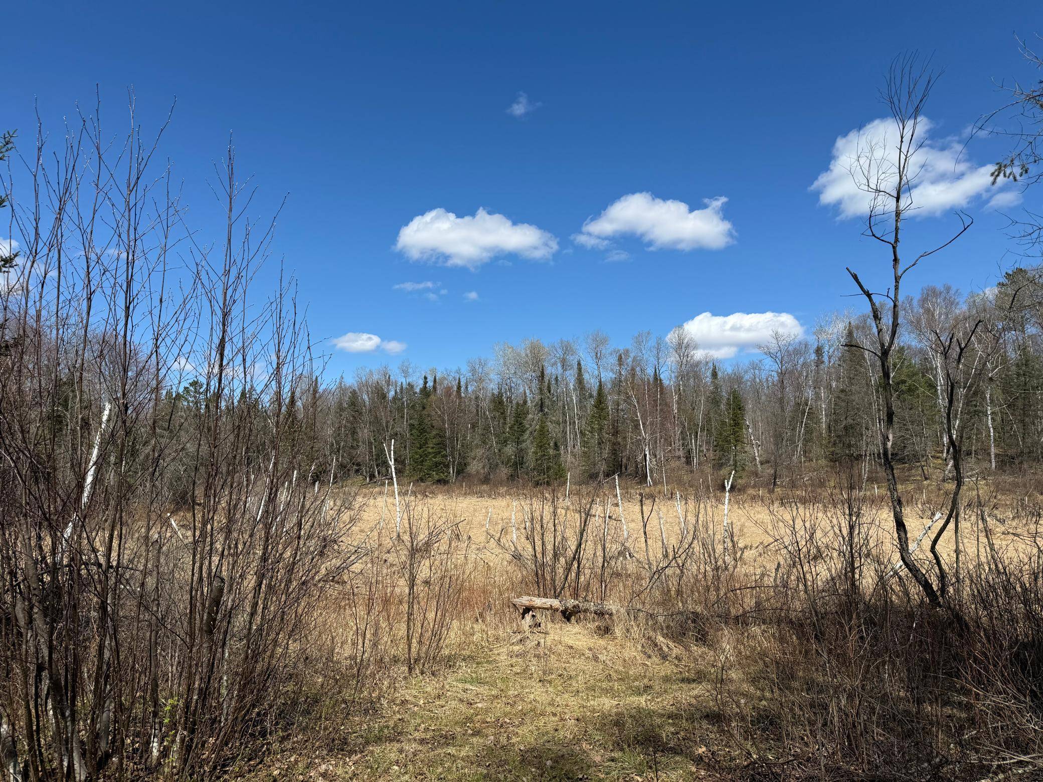 41174 Yellow Birch LN, Emily, MN 56447