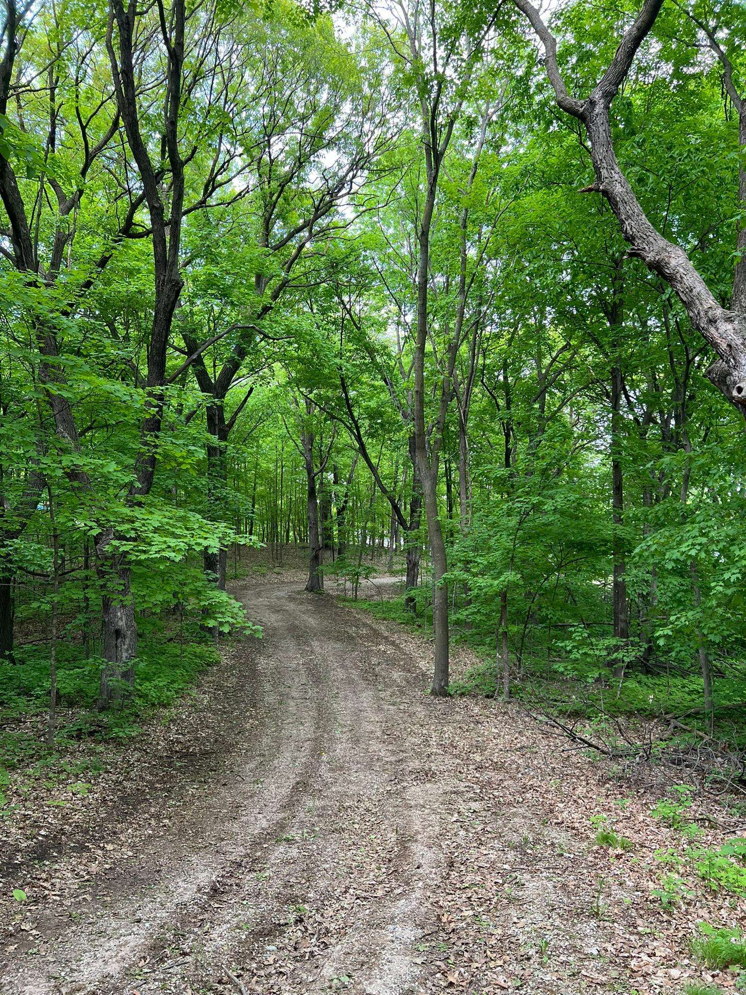 XXXX Acorn RD, Burtrum, MN 56318