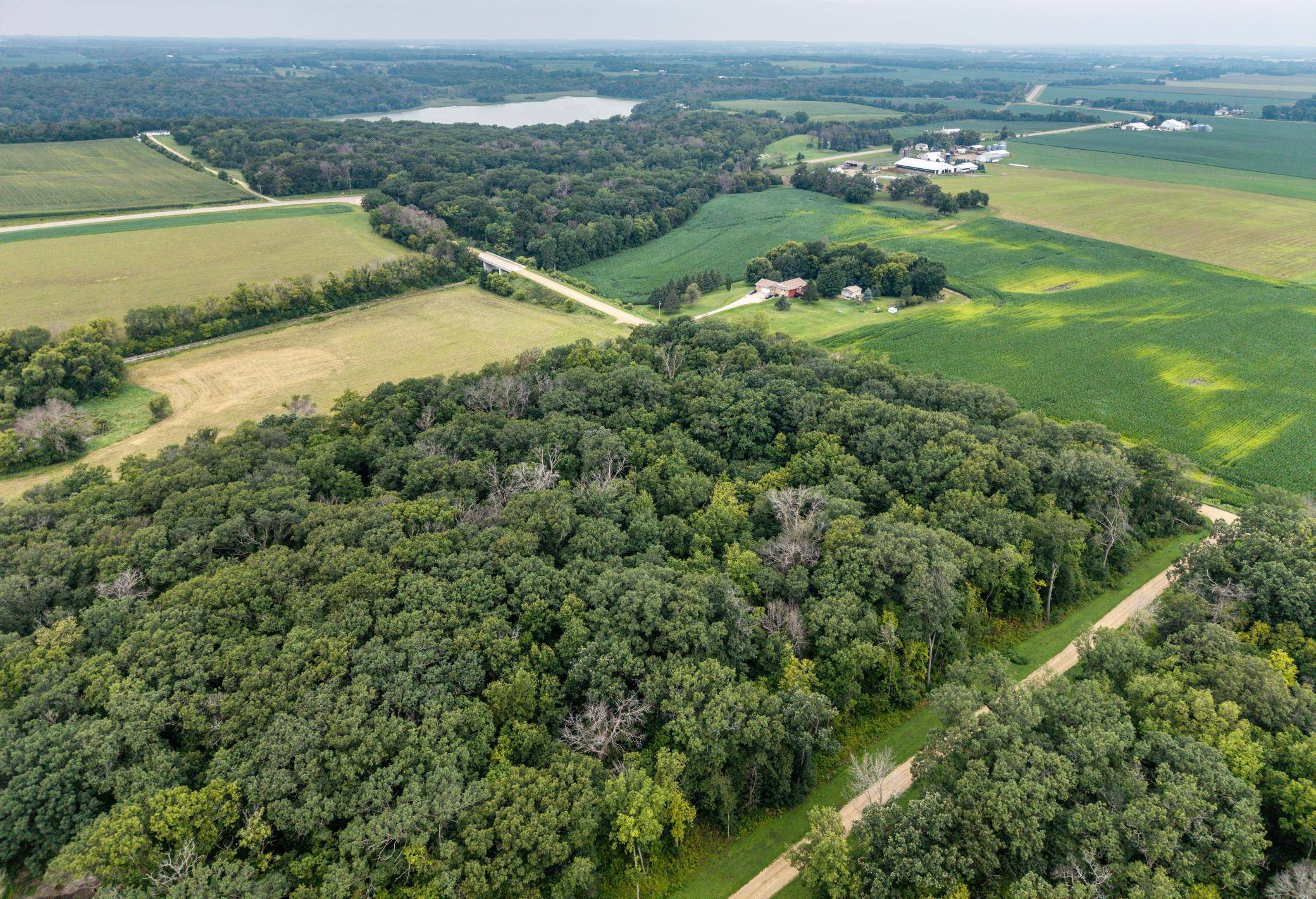 TBD 265th ST, Eureka Twp, MN 55024