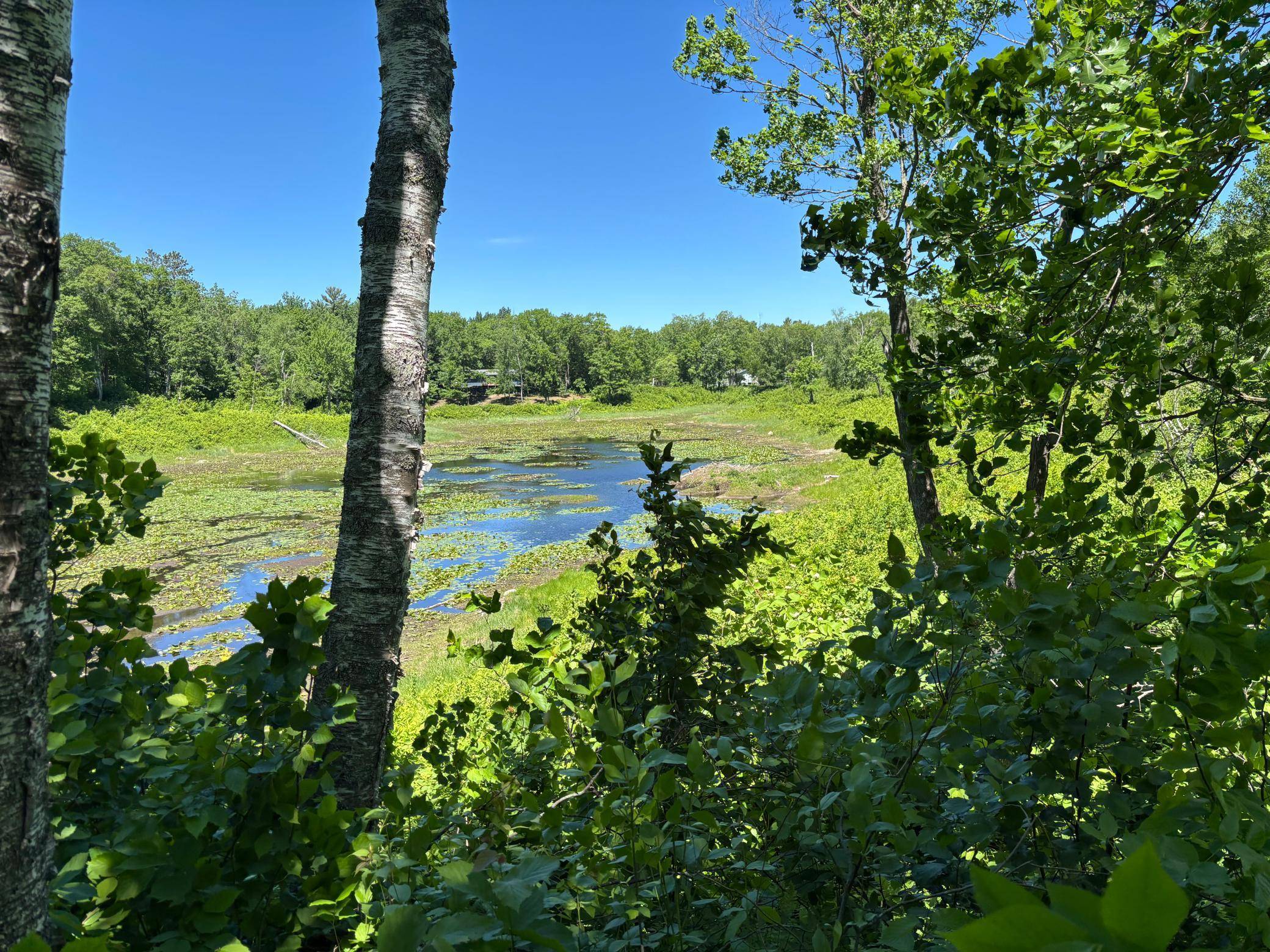 TBD Fawn TRL NE, Longville, MN 56655