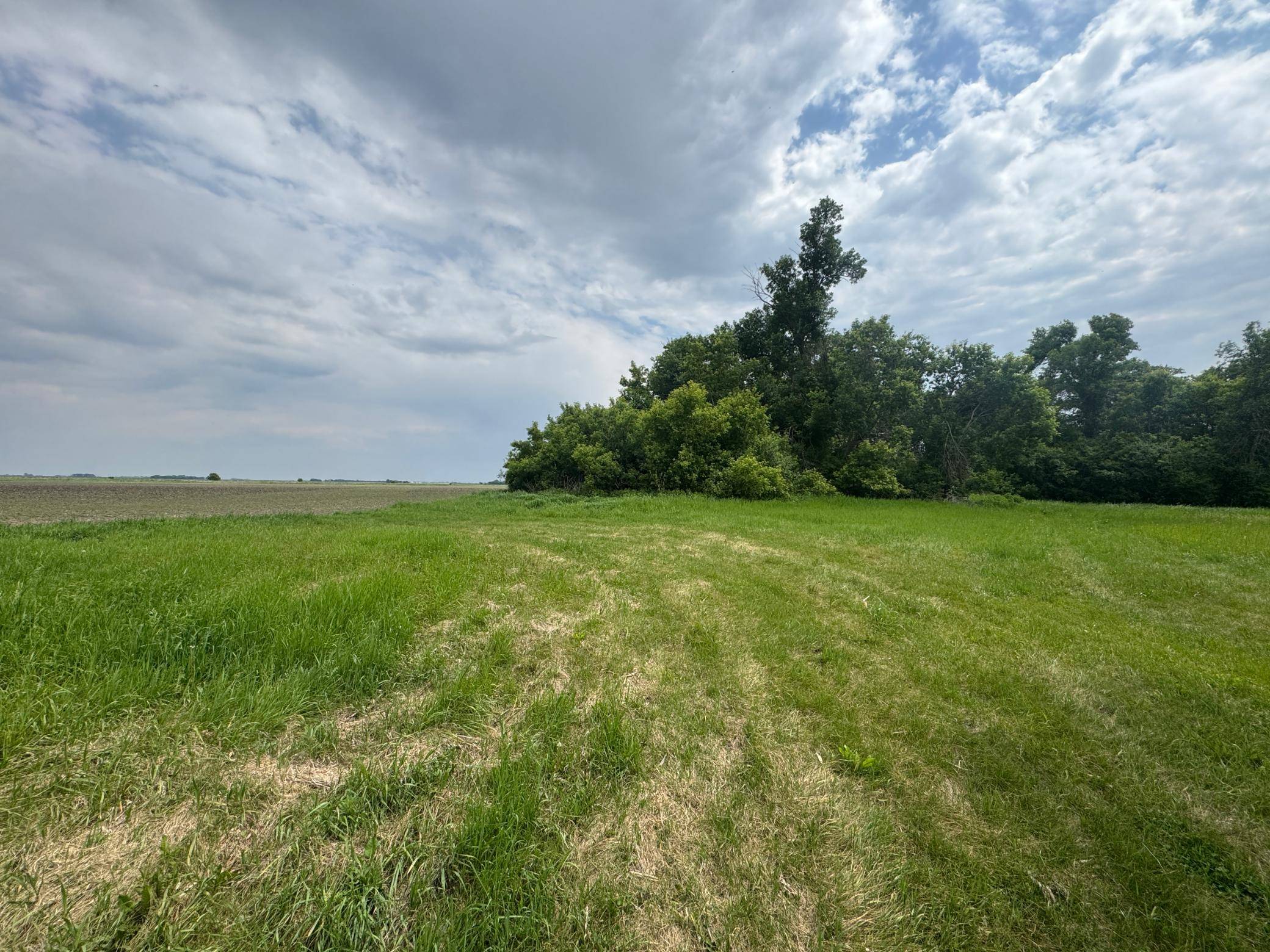 1265 170th ST, Wolverton, MN 56594