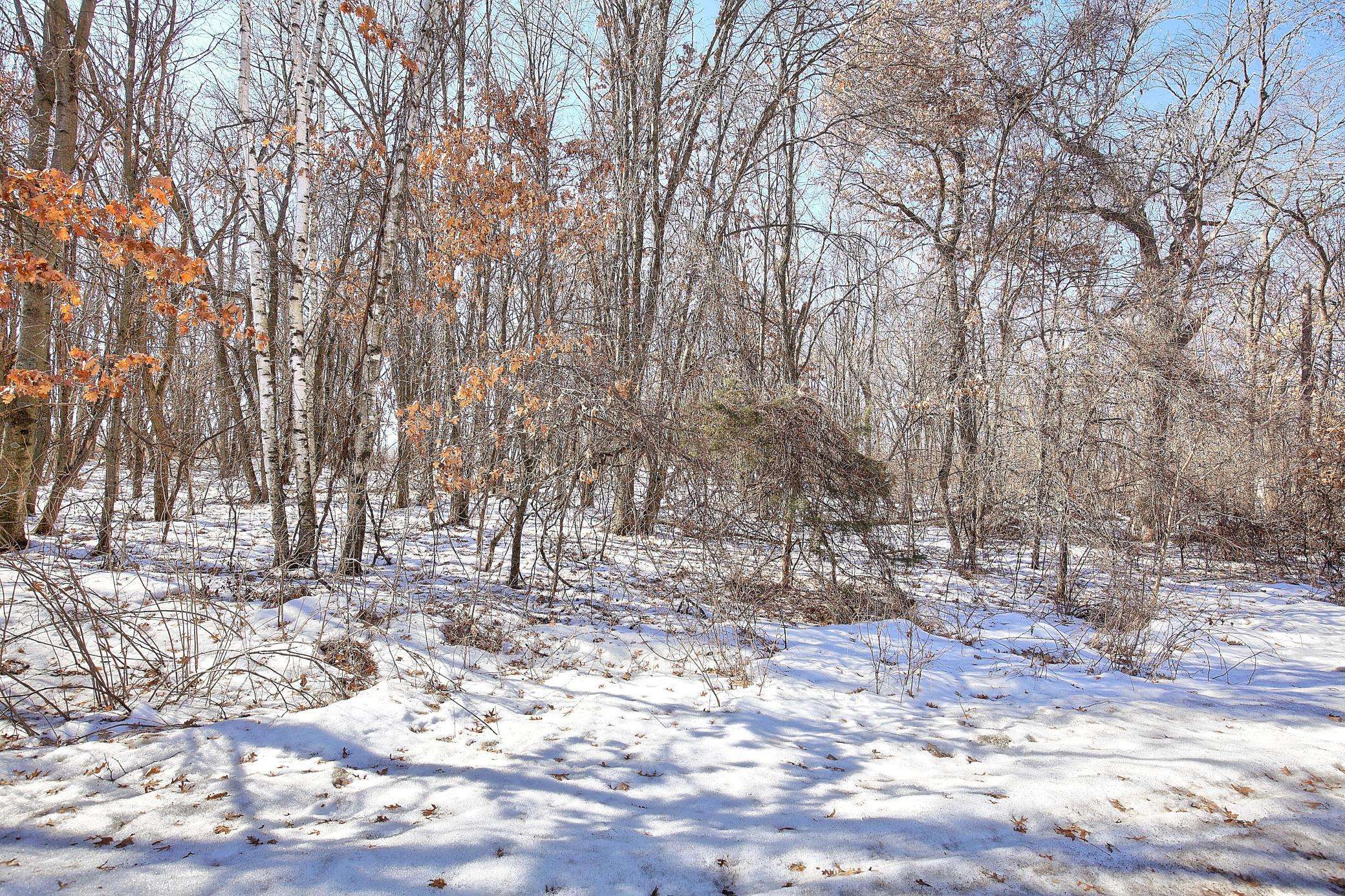 19062 Heather St NW, Oak Grove, MN 55011