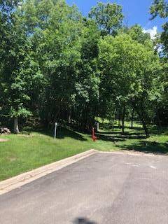 TBD Saratoga ST, Mankato, MN 56001