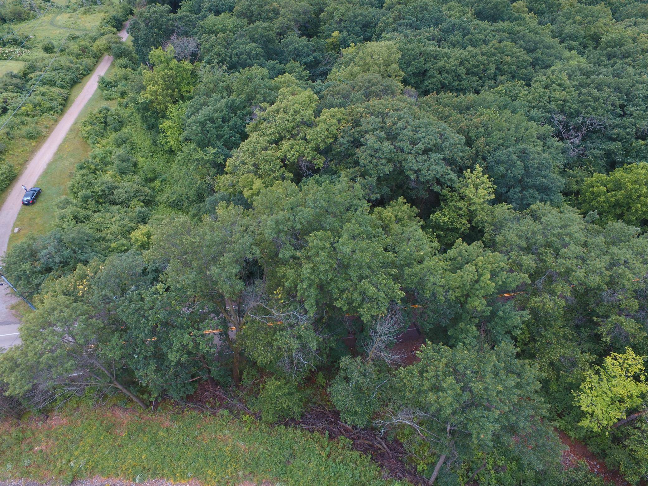 TBD Sterling ST S, Maplewood, MN 55119