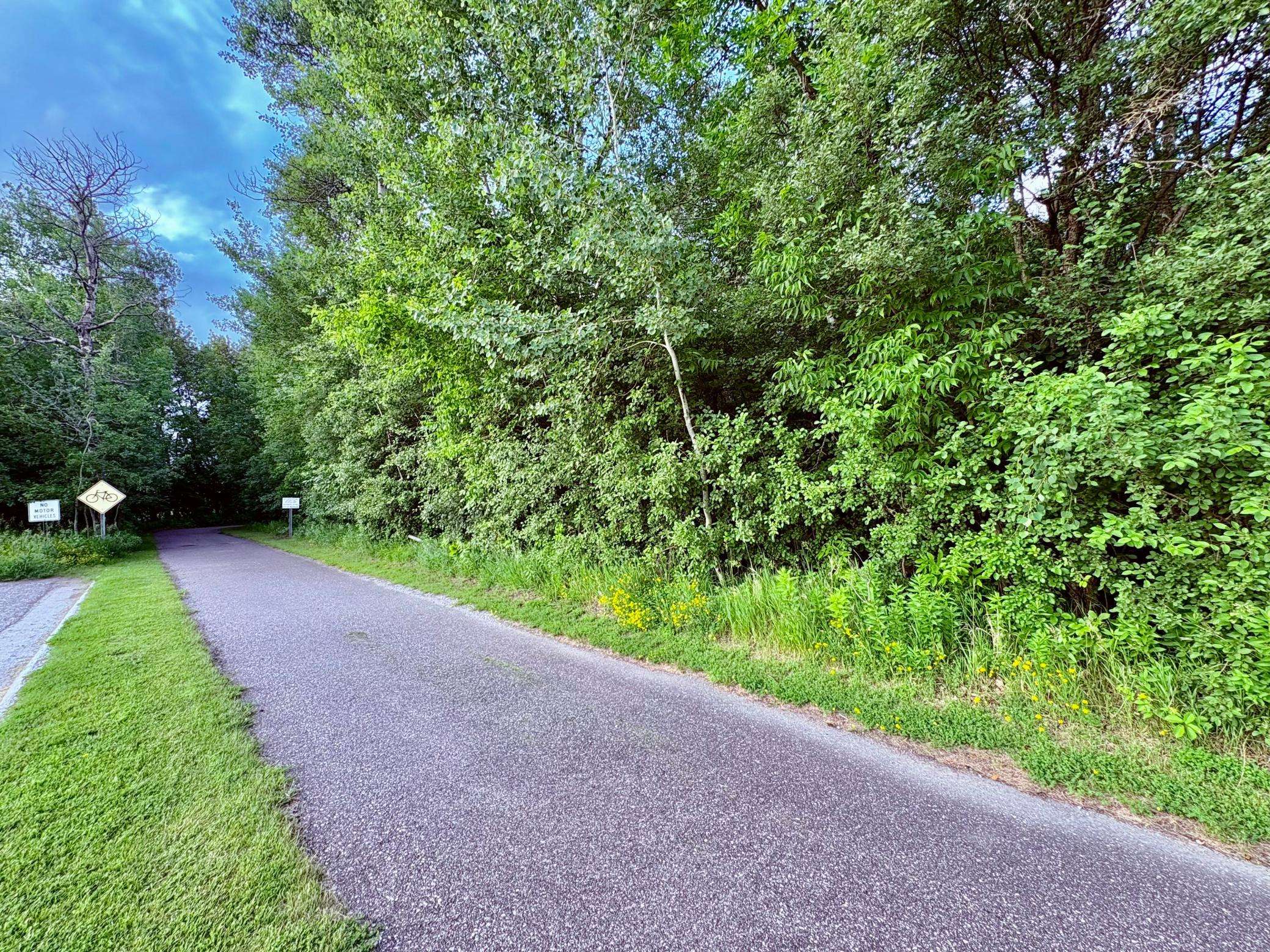 TBD Gladys St NE, Warroad, MN 56763