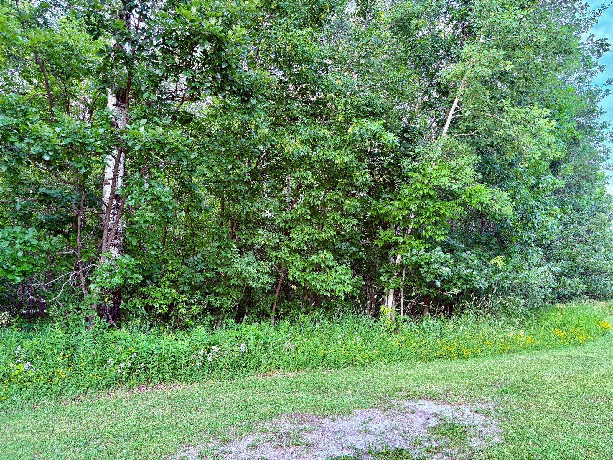 TBD Minnesota Ave NE, Warroad, MN 56763