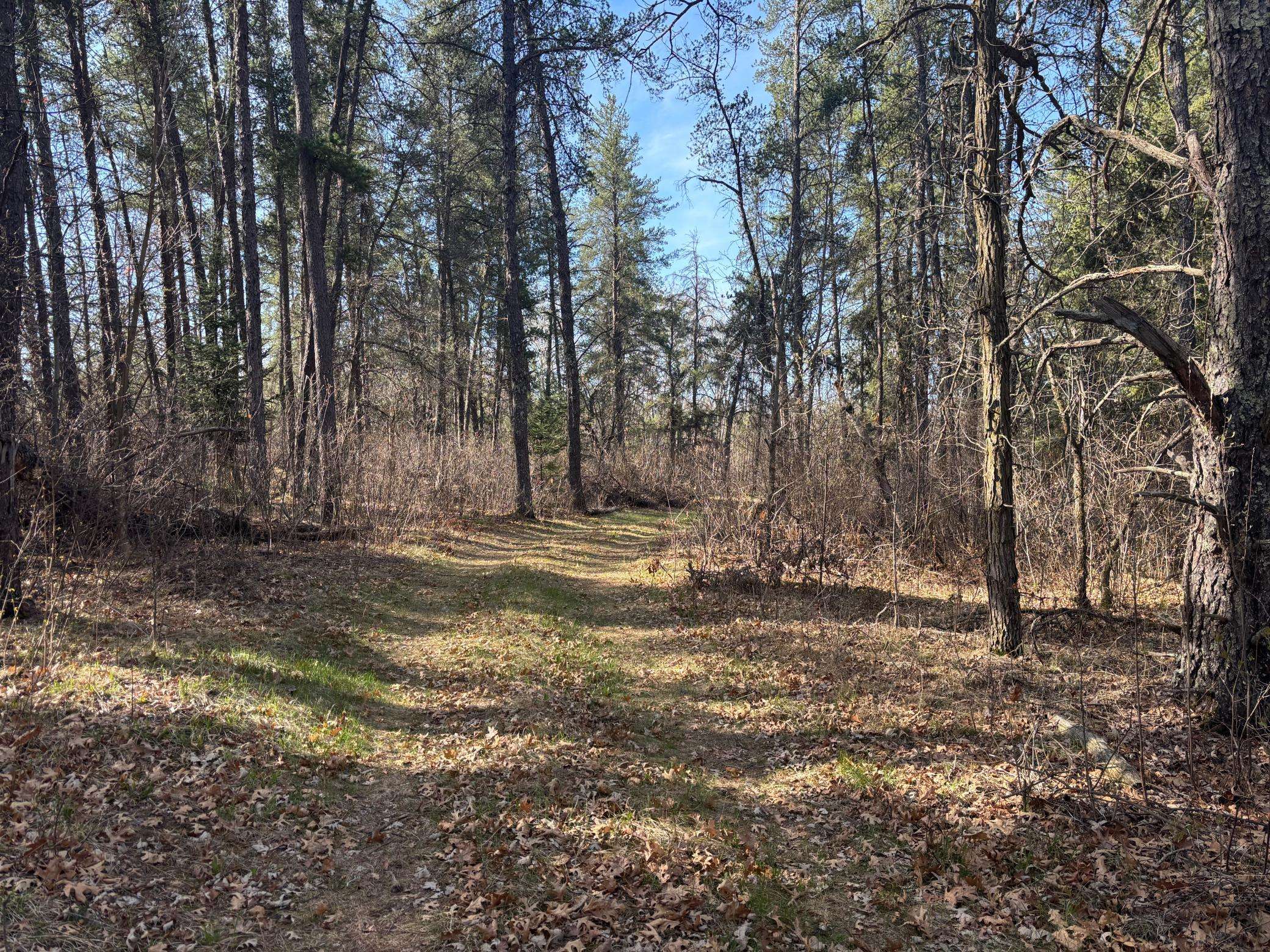TBD Arbor RD, Park Rapids, MN 56470