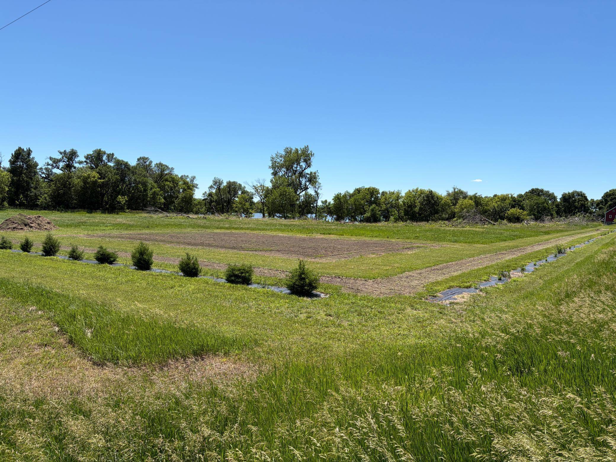 TBD Tripp, Fulda, MN 56131