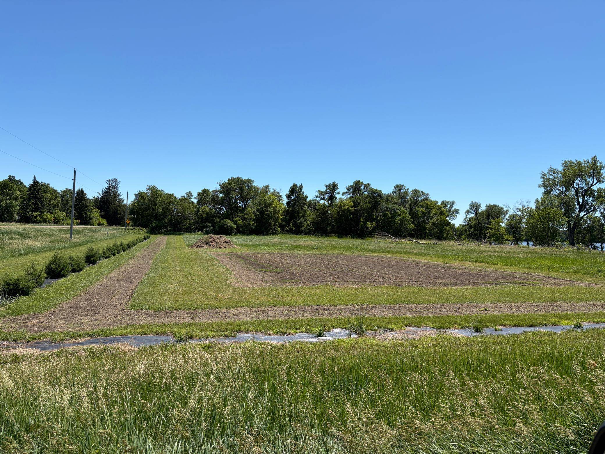 TBD Tripp, Fulda, MN 56131