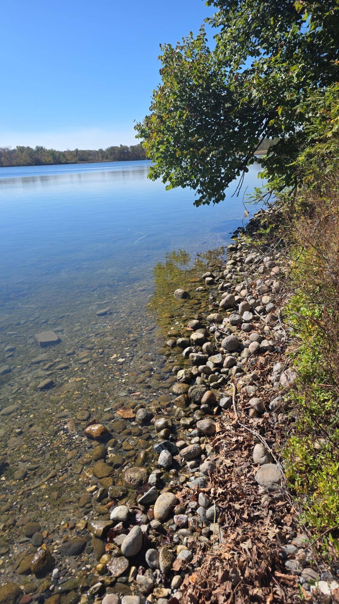 TBD 4/5 Lots 317th St, Underwood, MN 56586