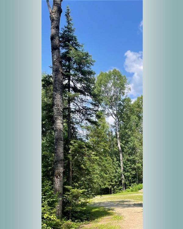 23XX Low Creek RD, Ely, MN 55731