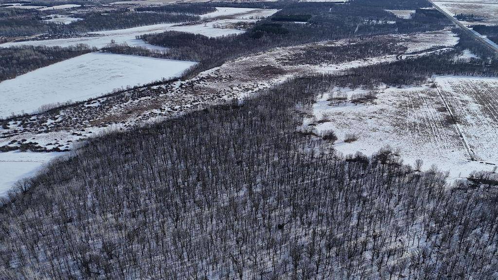 Sebeka, MN 56477