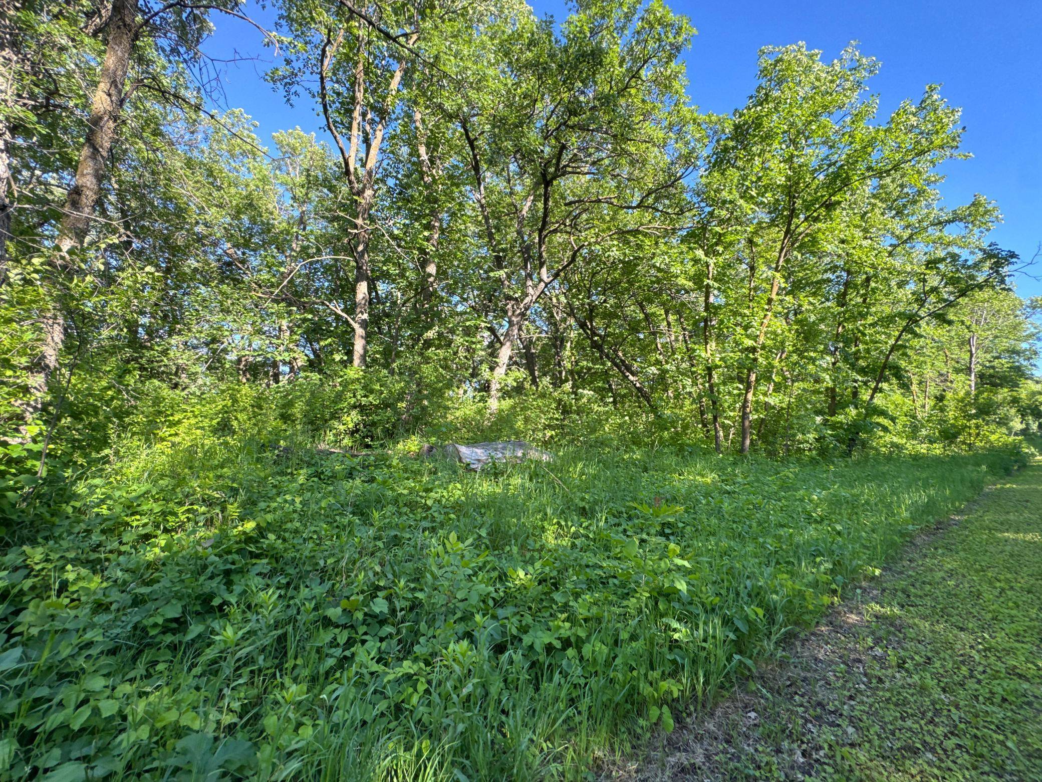 XXXXX German Lake RD, Underwood, MN 56586