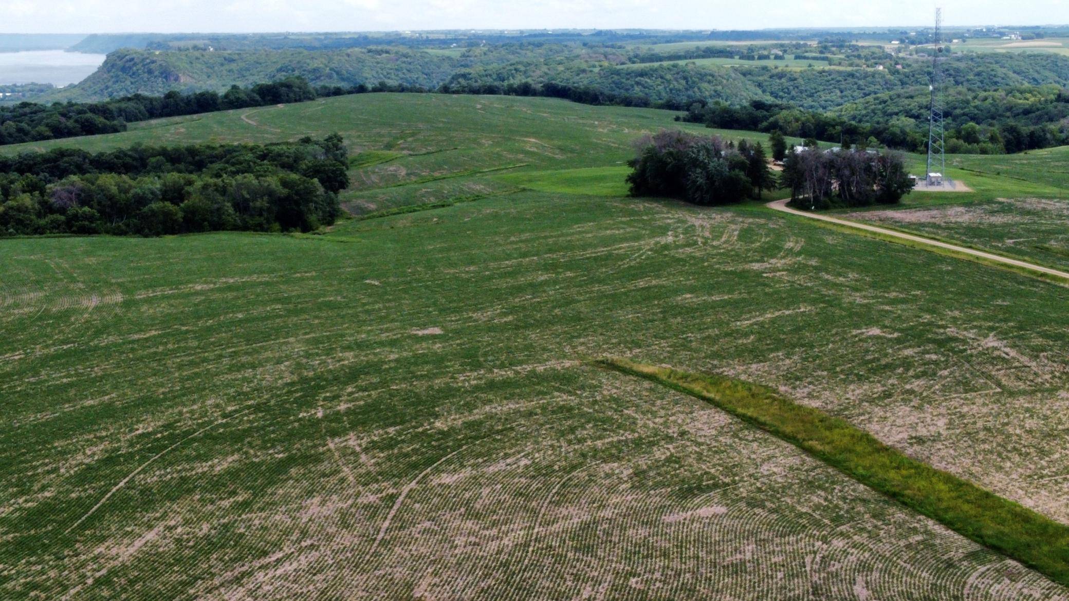 tbd 728th Street, Lake City, MN 55041