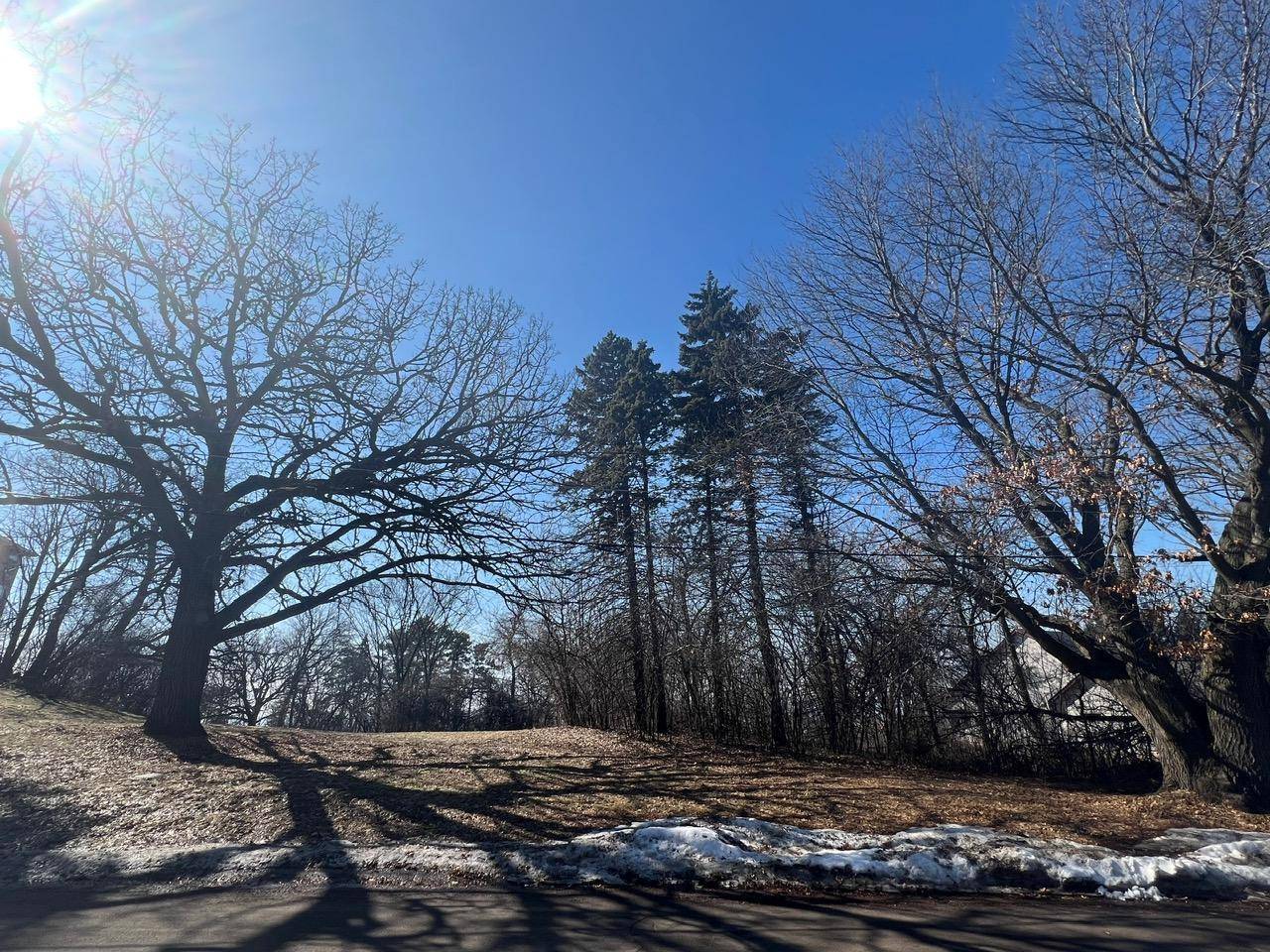 TBD Oakridge ST, Saint Paul, MN 55119