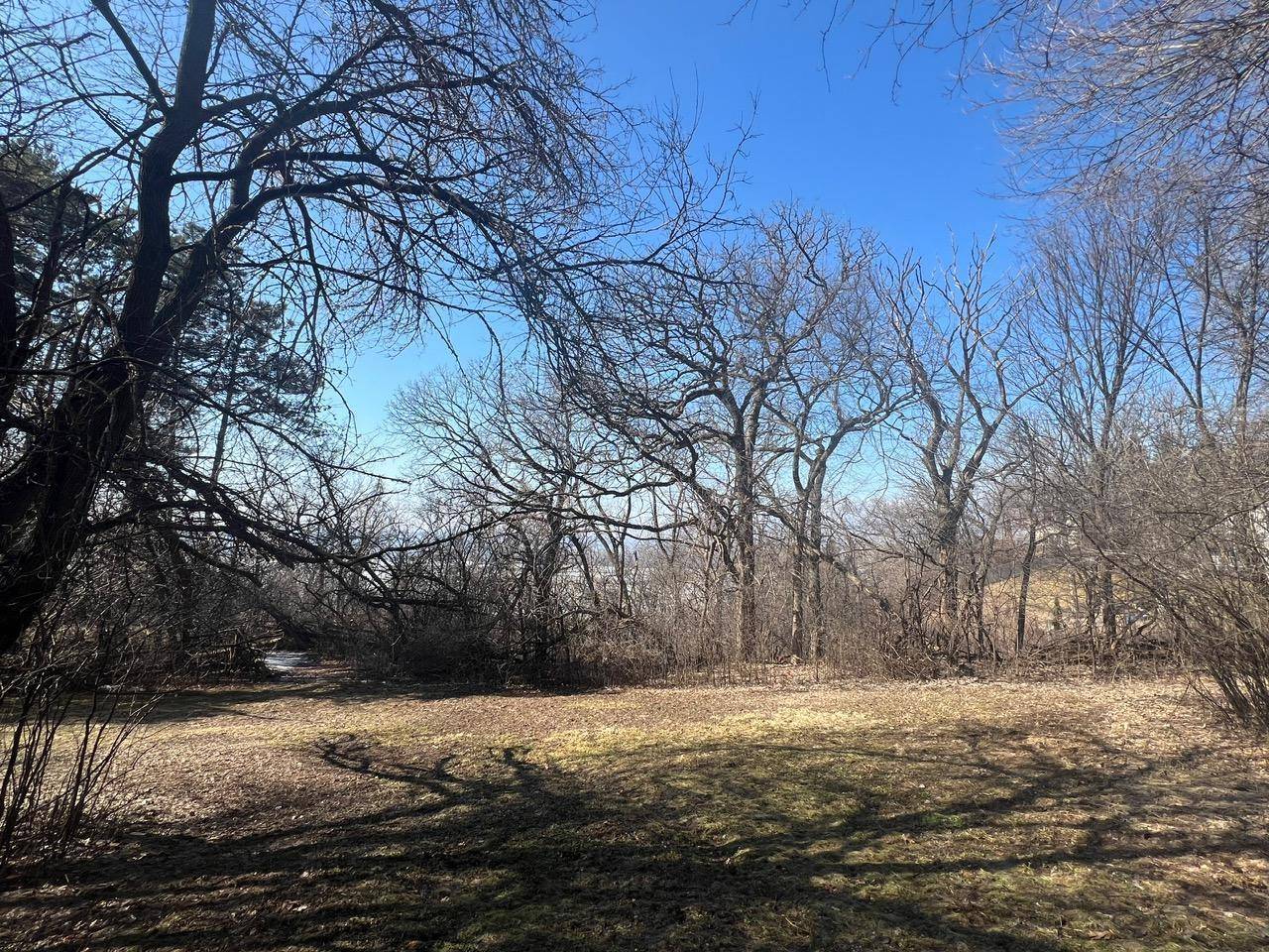 TBD Oakridge ST, Saint Paul, MN 55119