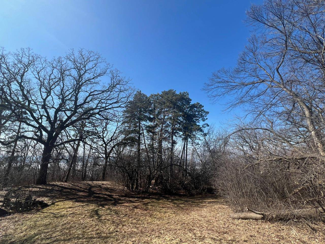 TBD Oakridge ST, Saint Paul, MN 55119