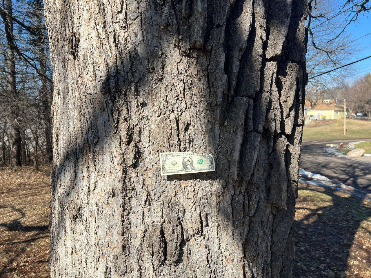TBD Oakridge ST, Saint Paul, MN 55119