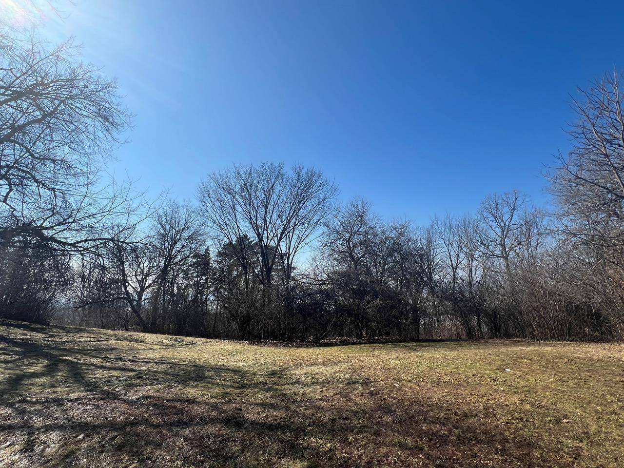 TBD Oakridge ST, Saint Paul, MN 55119