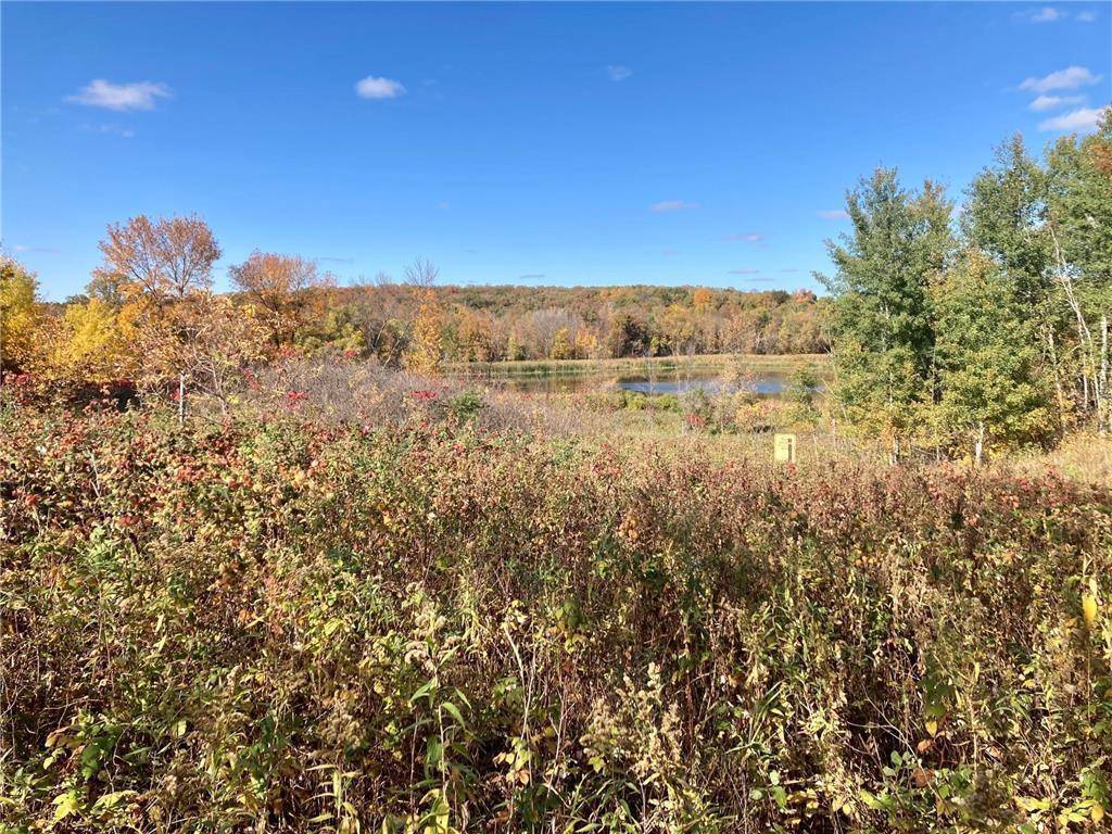 TBD 493rd AVE, New York Mills, MN 56567