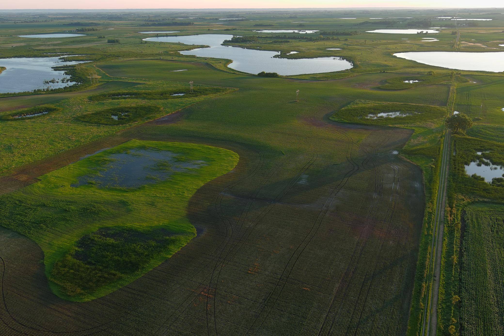 TBD County Road 1, Hankinson, ND 58041
