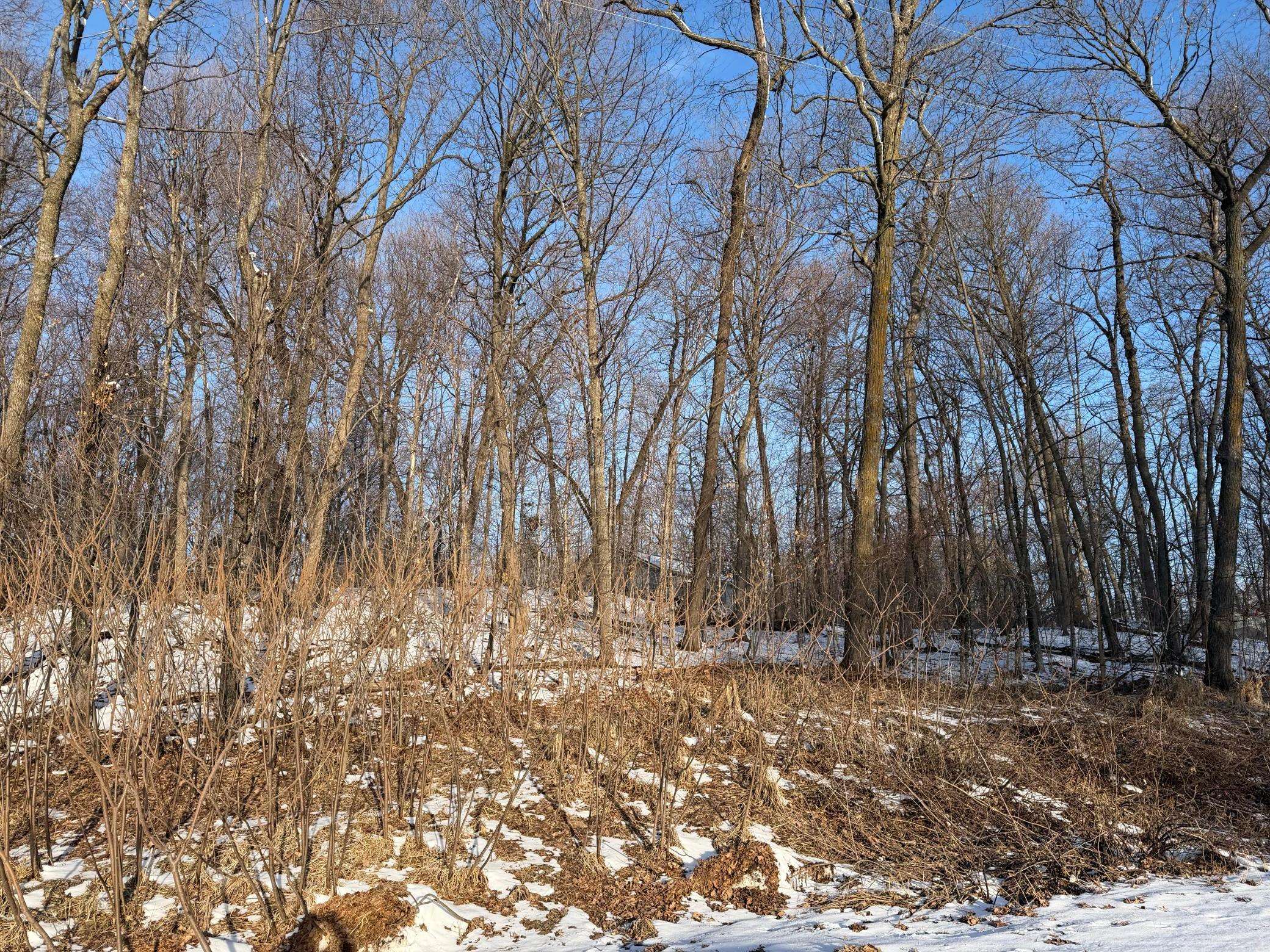 Lots 120 & 121 Earle Brown Drive, Garrison, MN 56450