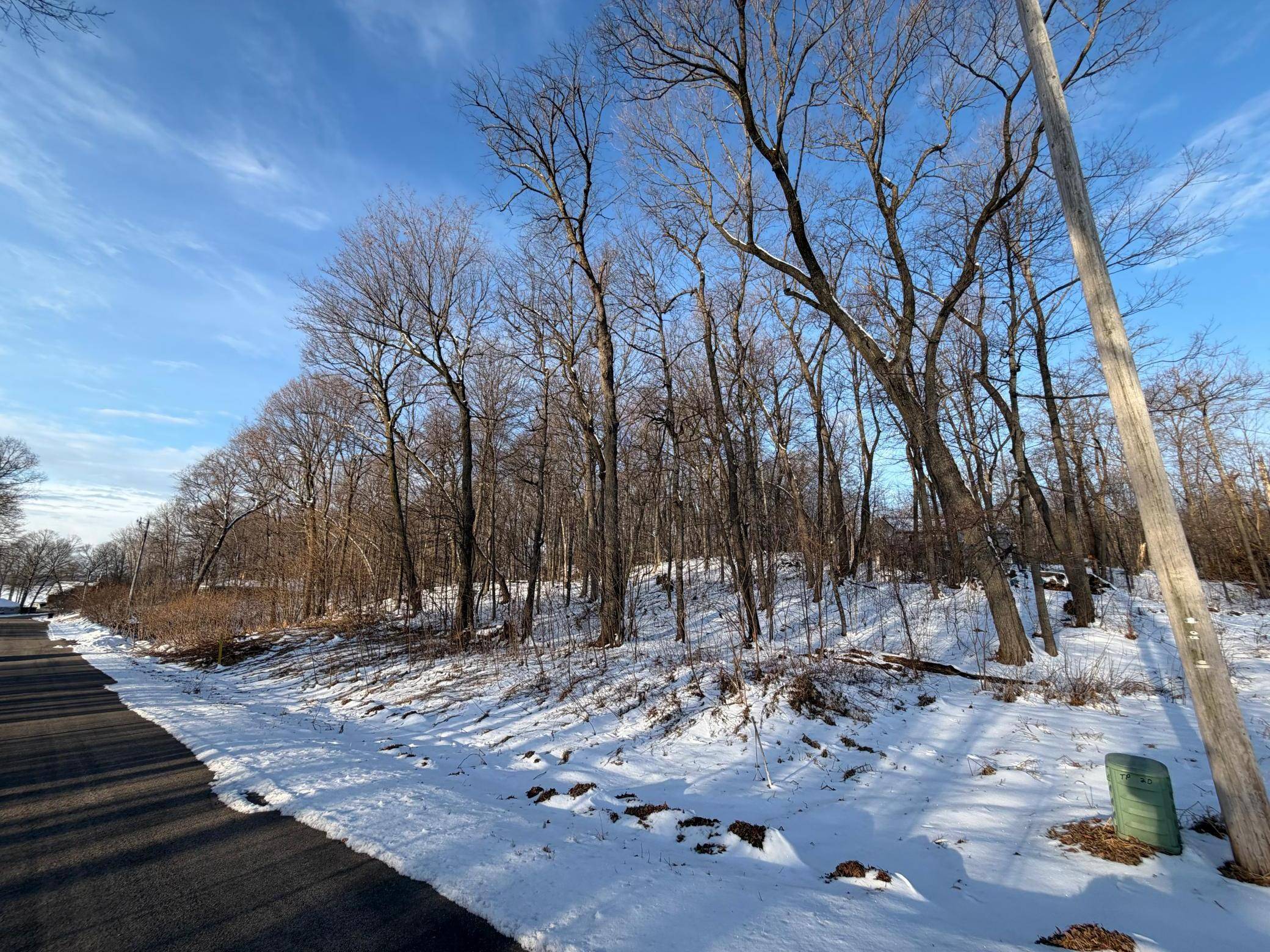 Lots 120 & 121 Earle Brown Drive, Garrison, MN 56450