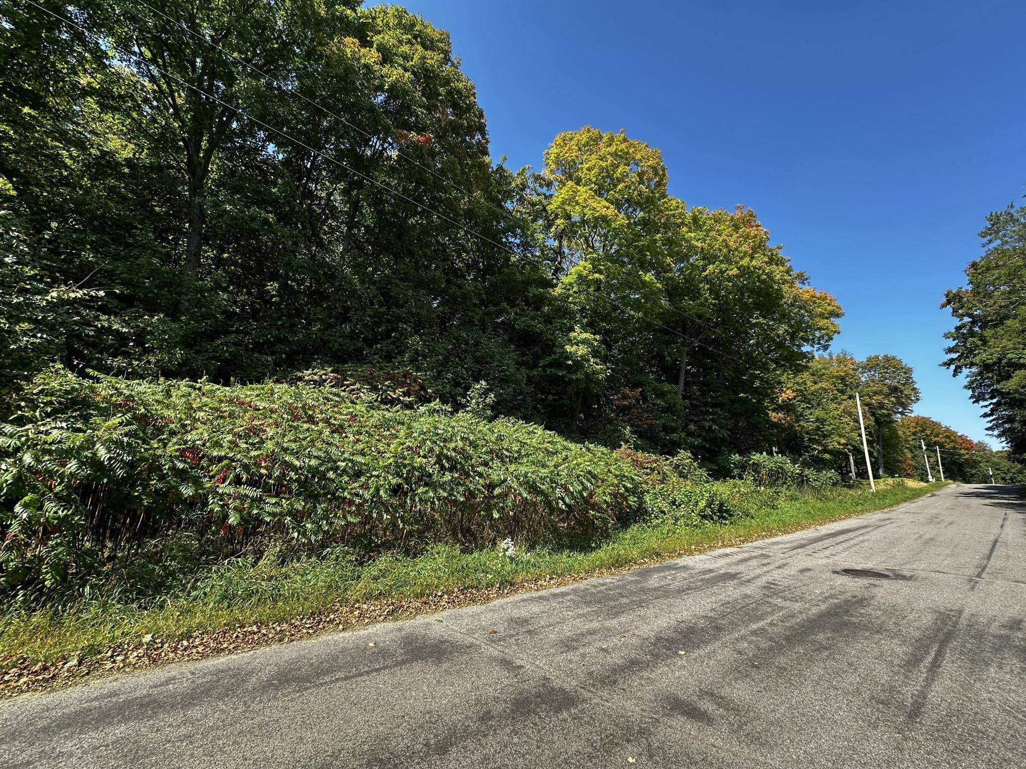 Lots 119 Earle Brown Drive, Garrison, MN 56450