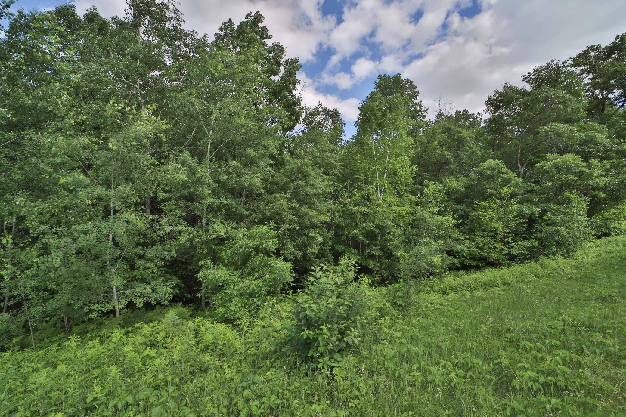 TBD Percheron DR, Breezy Point, MN 56472