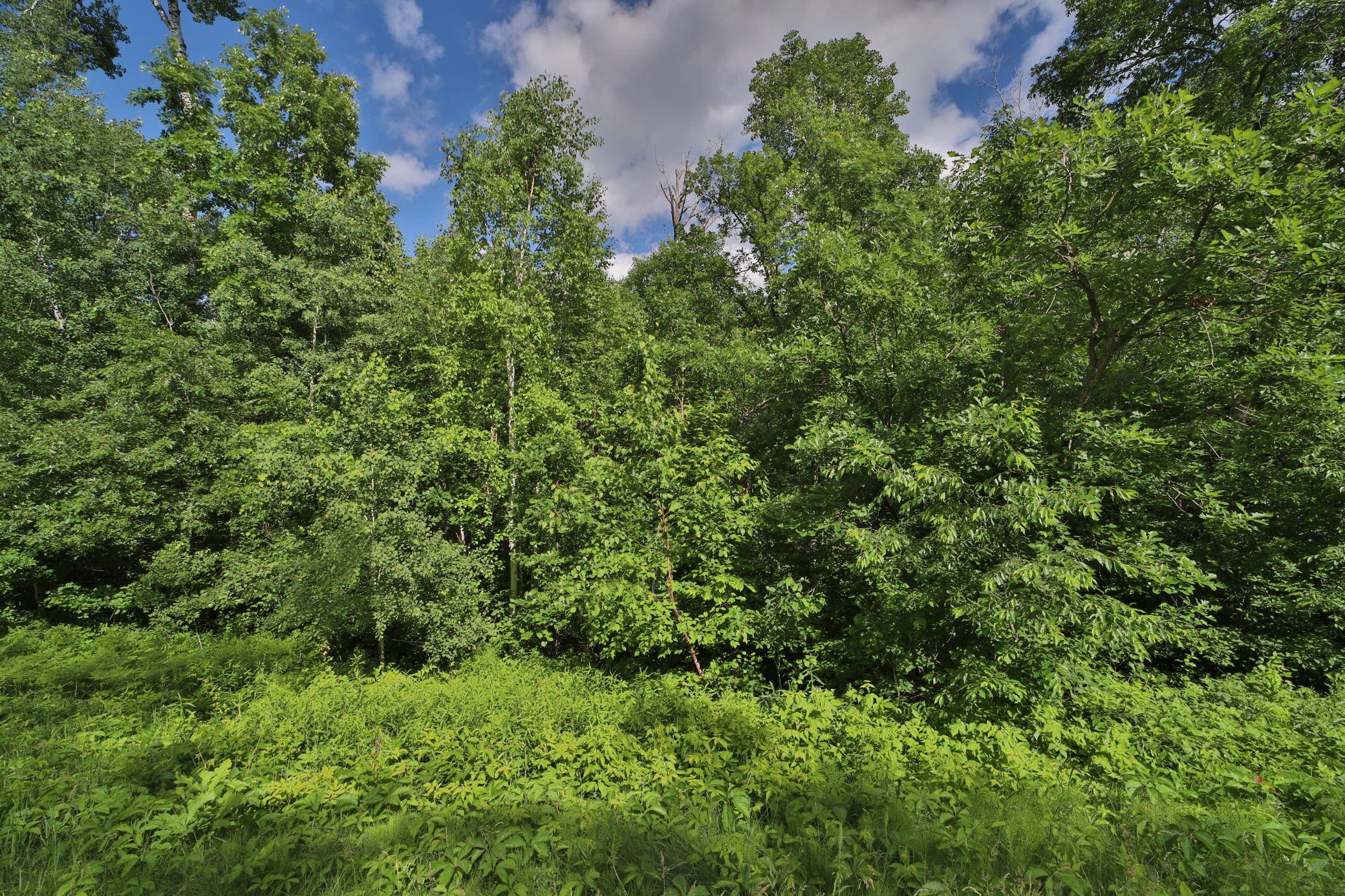 TBD Percheron DR, Breezy Point, MN 56472