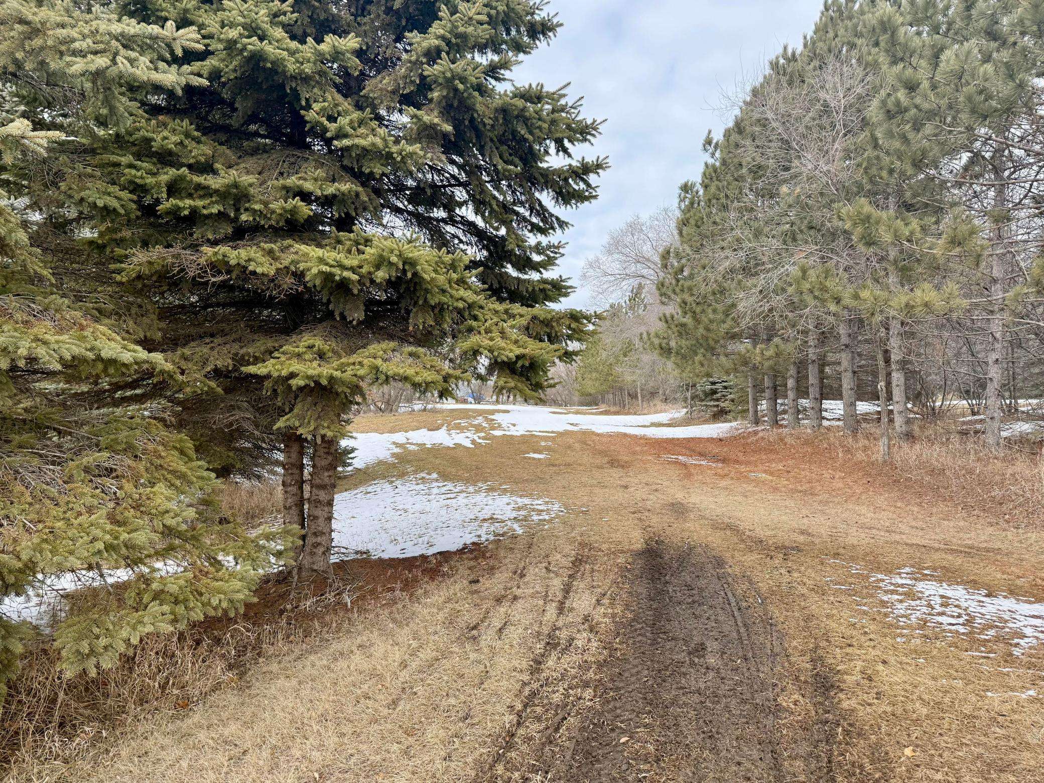 TBD Randolph RD, Detroit Lakes, MN 56501