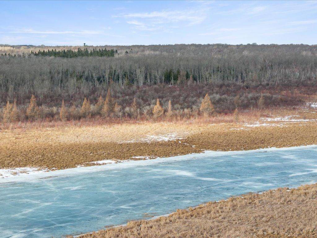 9815 County 8 NE, Federal Dam, MN 56641