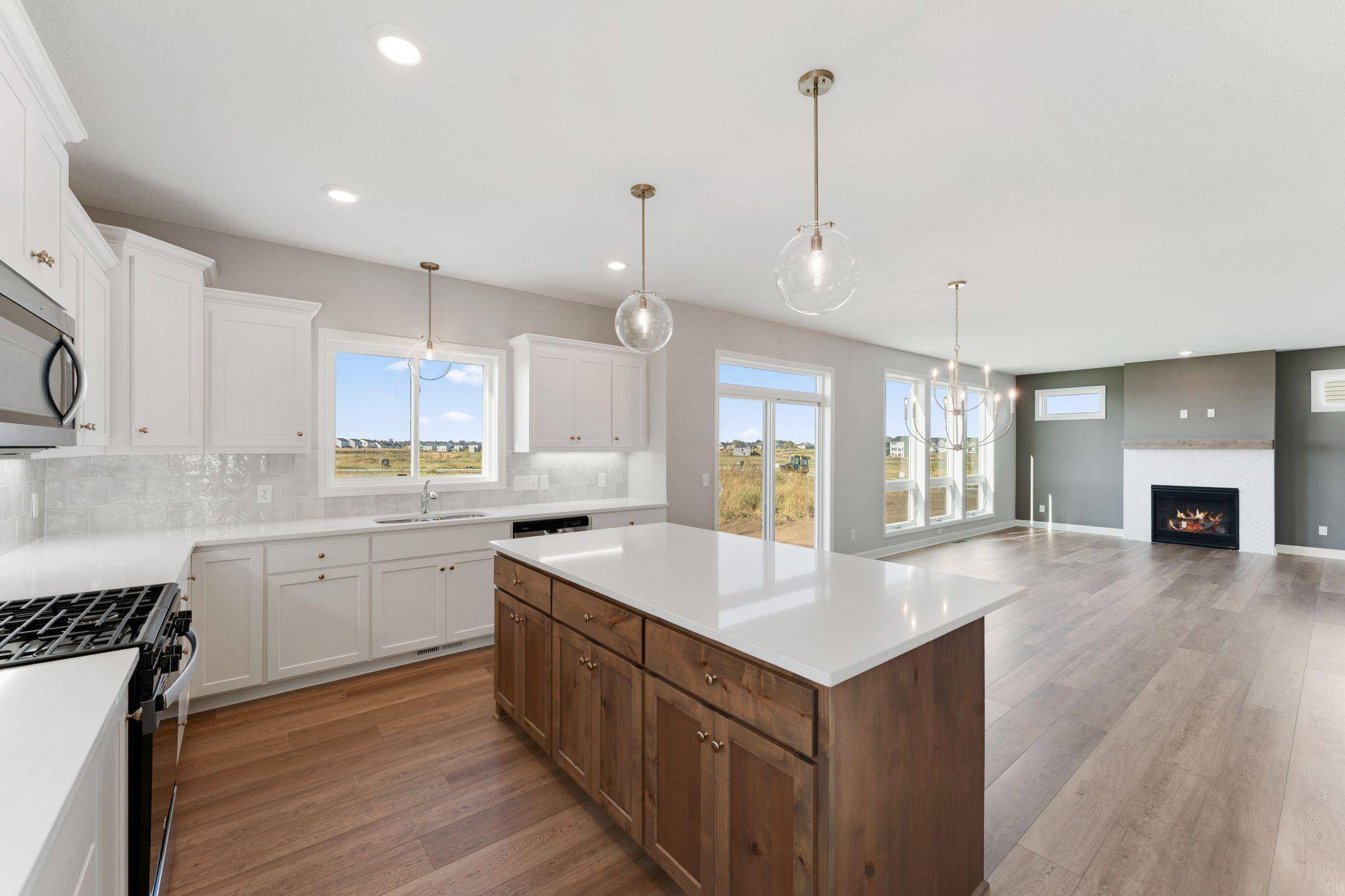 15035 Ardmullivan LN, Rosemount, MN 55068