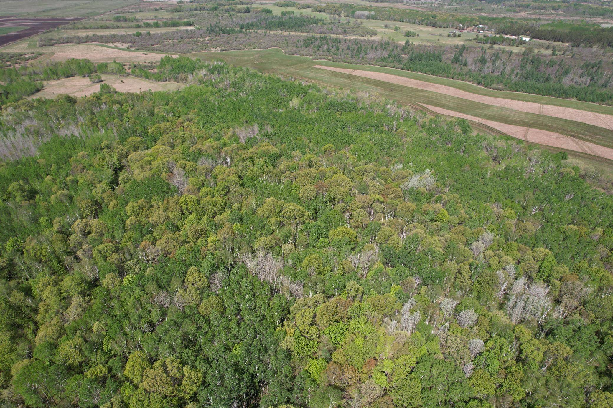 TBD County Road 14, Sebeka, MN 56477