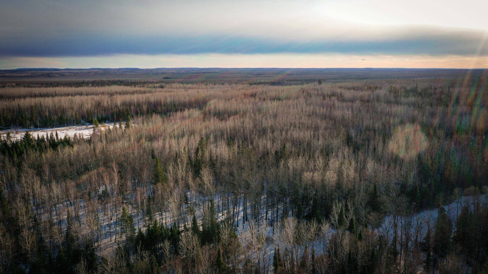 TBD Parcel S Thomas Road, Tower, MN 55790