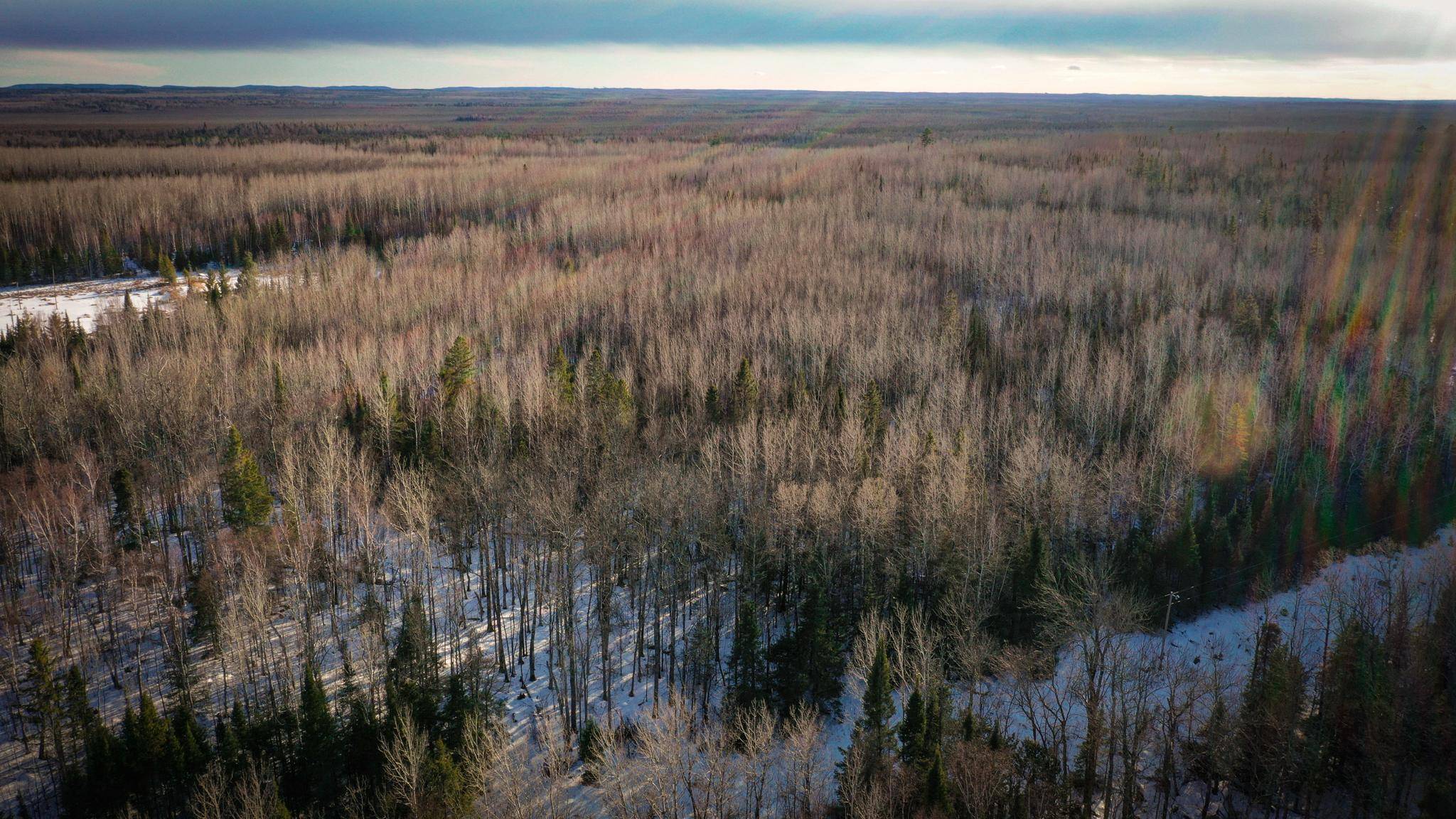 TBD Parcel S Thomas Road, Tower, MN 55790