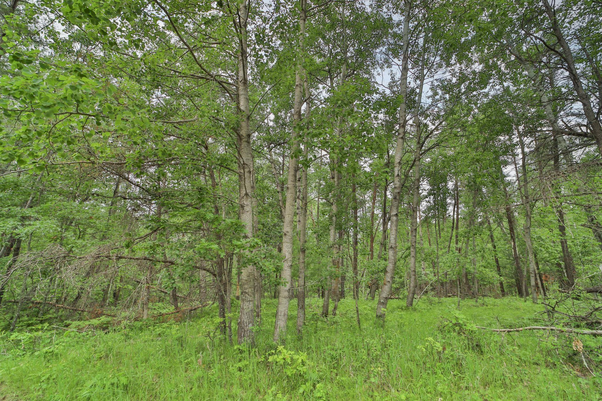 Lot 15 Cedar ST, Breezy Point, MN 56472