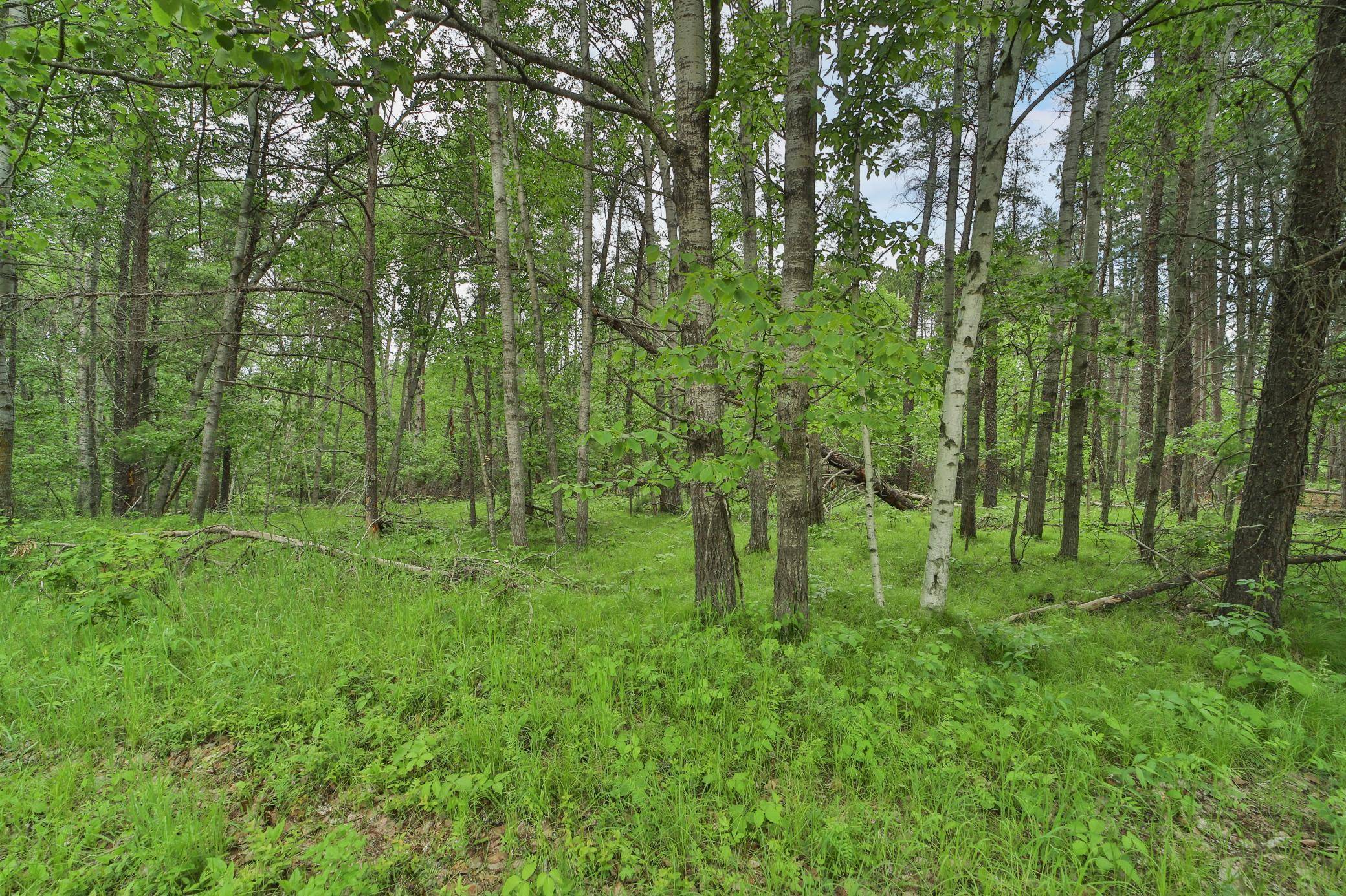 Lot 15 Cedar ST, Breezy Point, MN 56472