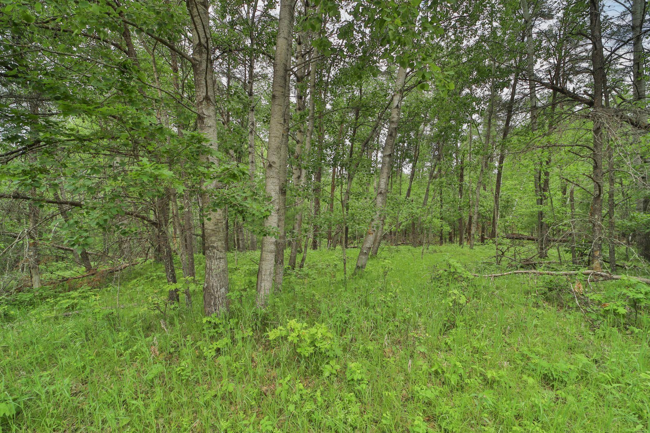 Lot 15 Cedar ST, Breezy Point, MN 56472