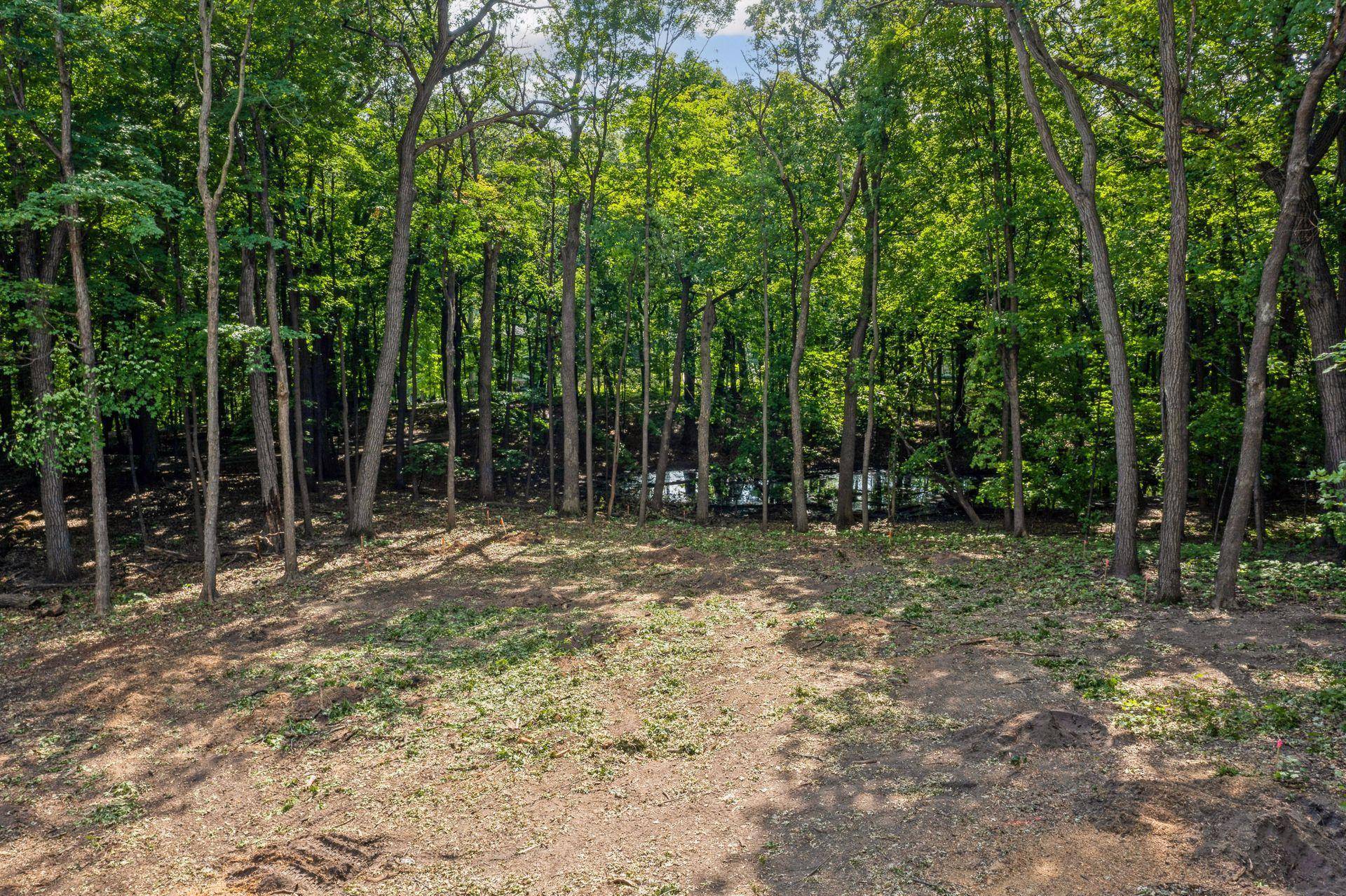 601 Fox Hill DR, Chanhassen, MN 55317