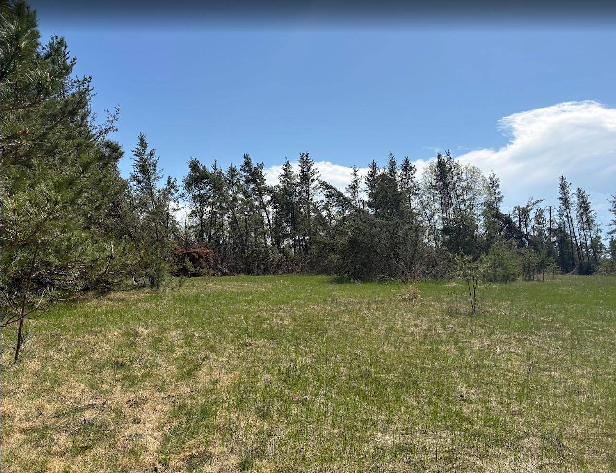 189 Division ST W, Bemidji, MN 56601
