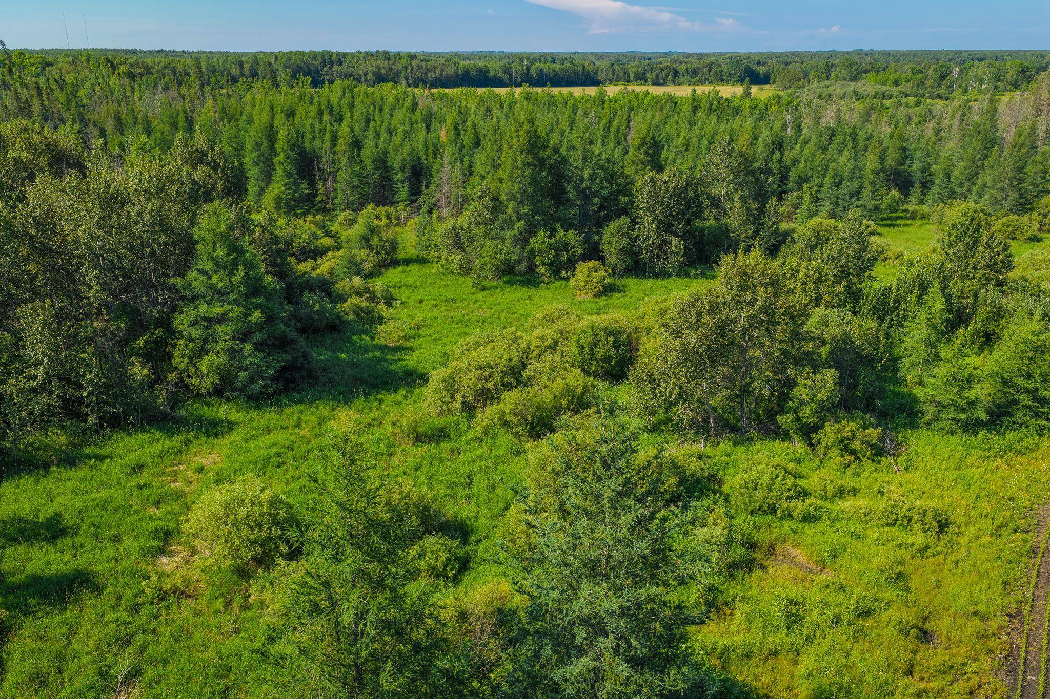 TBD Three Mile RD NE, Blackduck, MN 56630