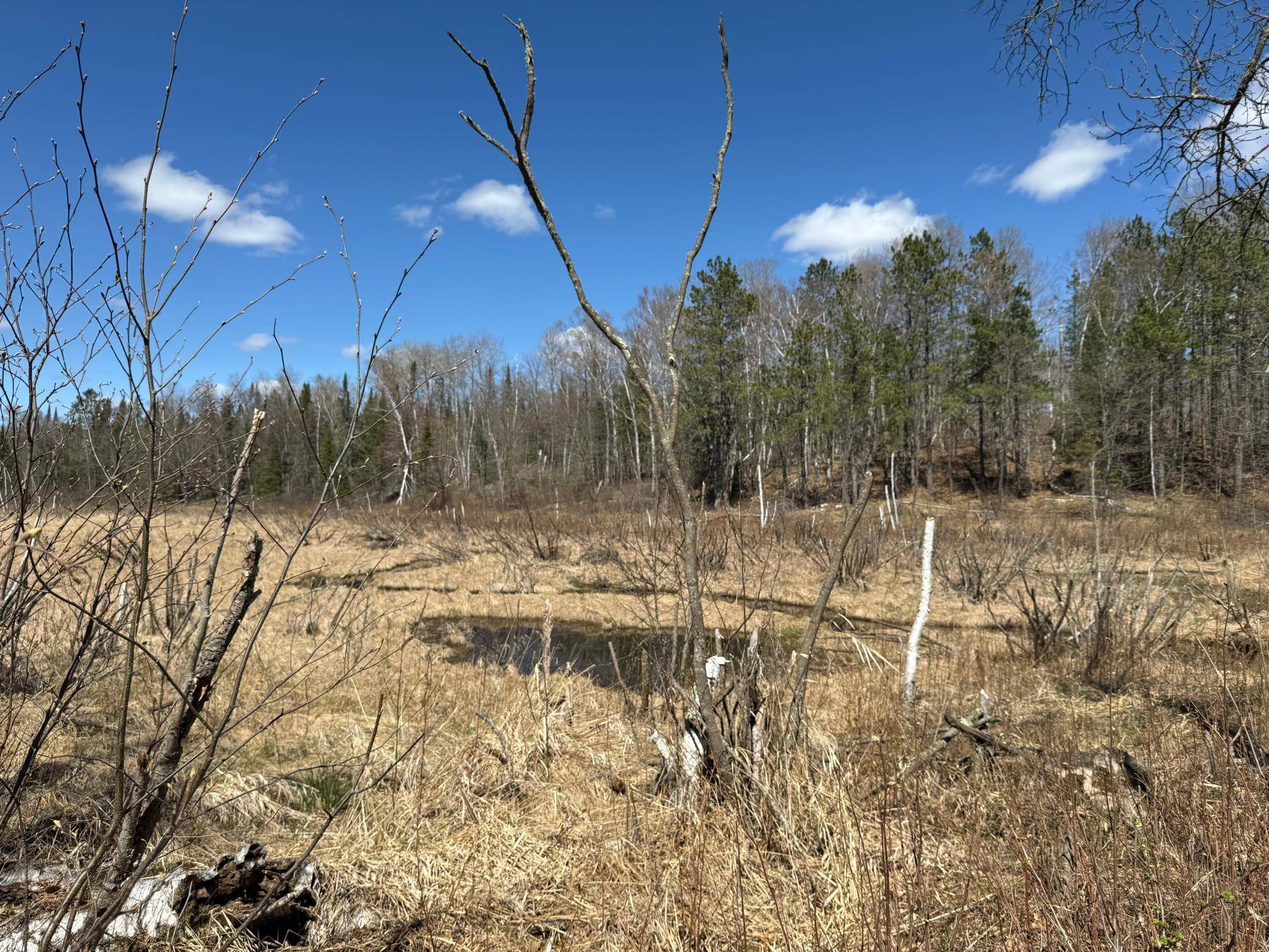 Lot 7 Block 1 Yellow Birch Ln, Emily, MN 56447