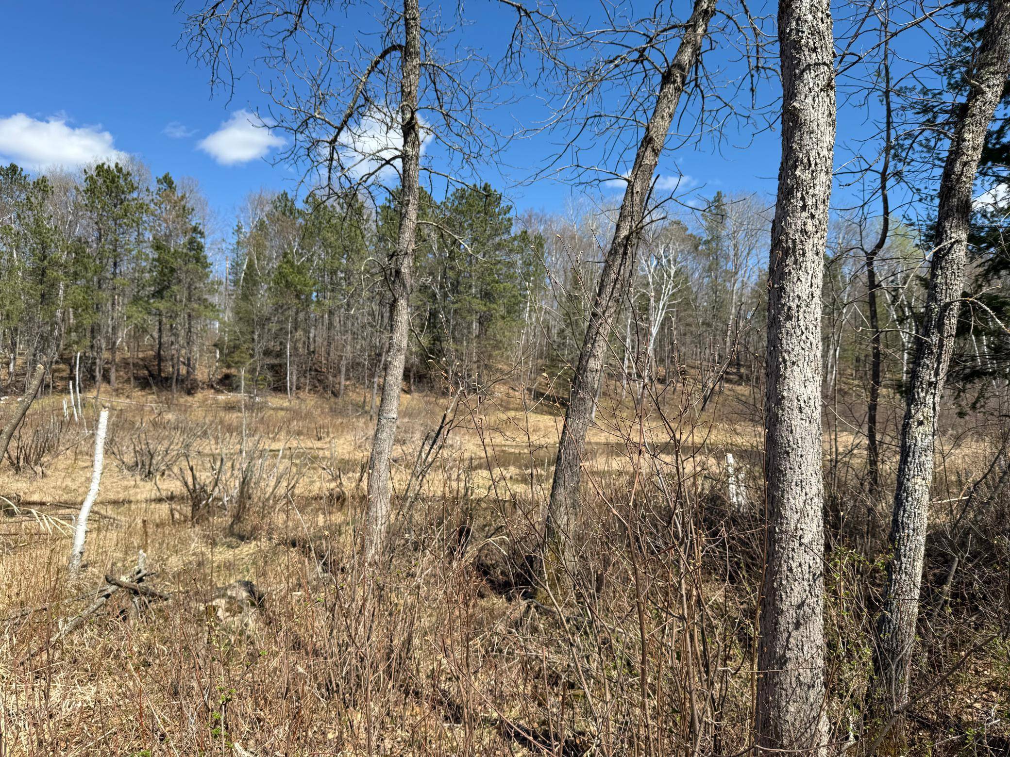Lot 7 Block 1 Yellow Birch Ln, Emily, MN 56447