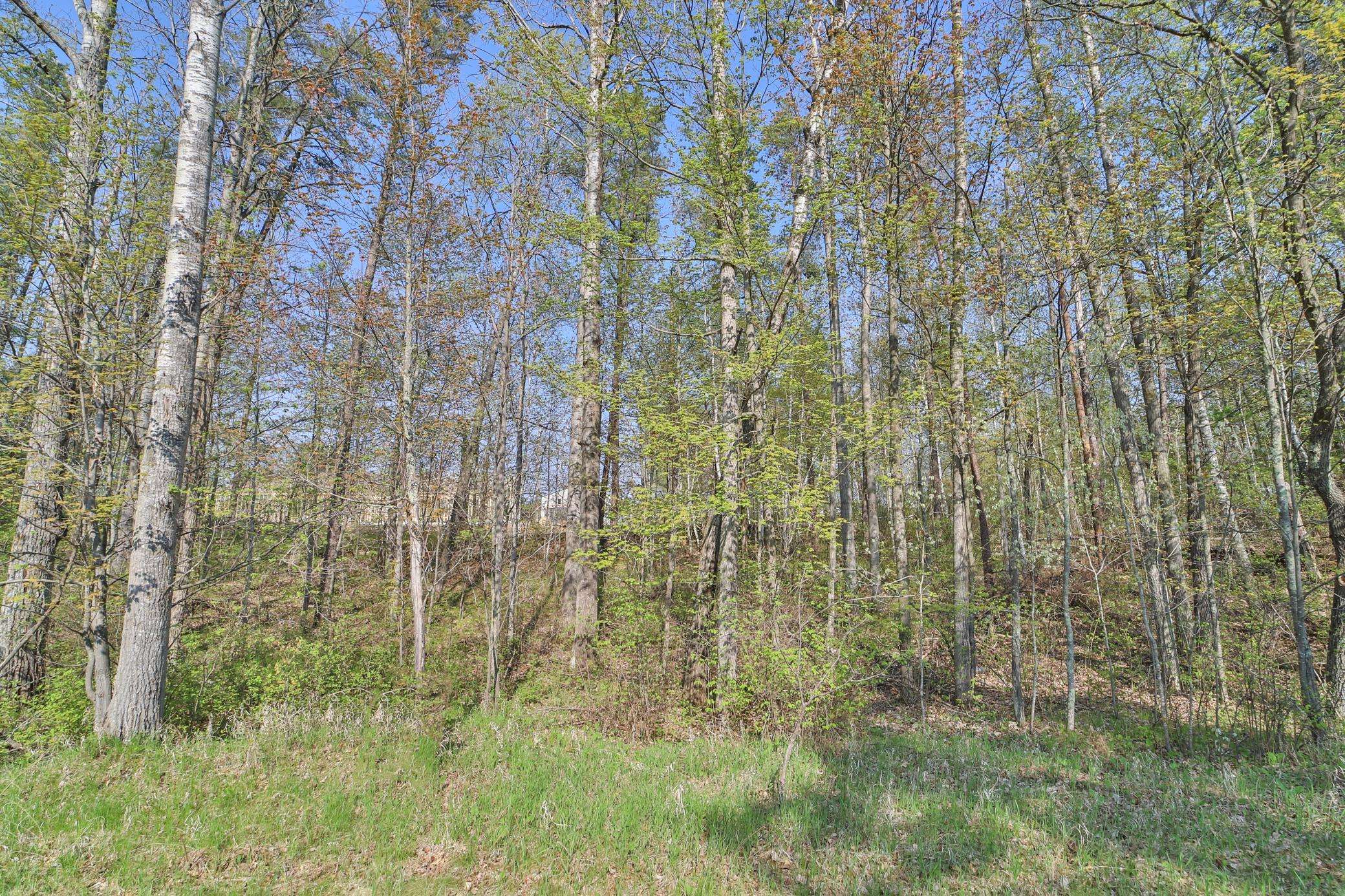 Lots 5, 6, 7 Terminal RD, Breezy Point, MN 56472