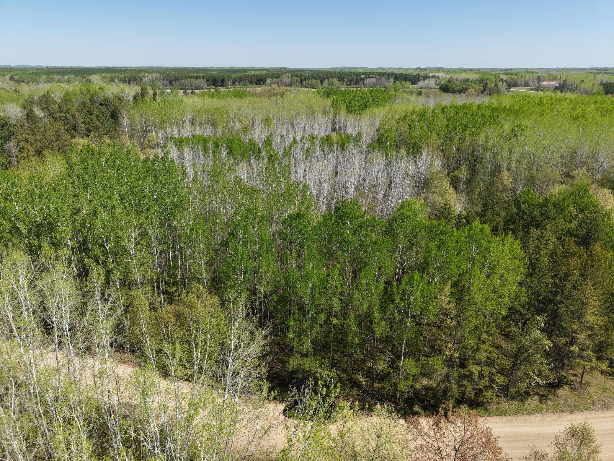 TBD 10 Bog Lake TRL, Osage, MN 56570
